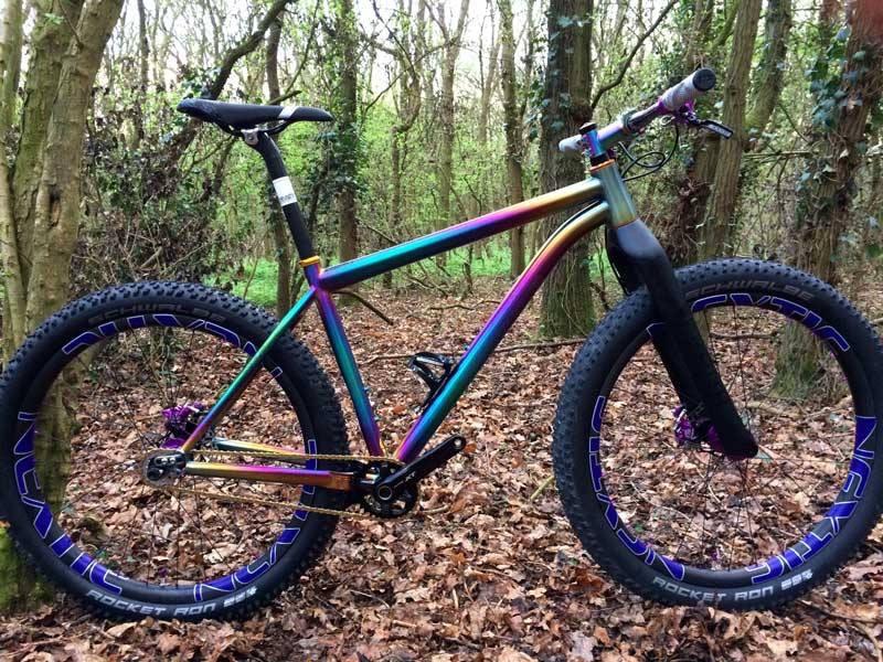 A vibrant mountain bike with a multi-colored frame featuring shades of blue, purple, and gold, parked on a bed of fallen leaves in a wooded area. The bike has thick tires designed for off-road use and a sleek, modern design. Trees and greenery surround the bike, creating a natural setting.