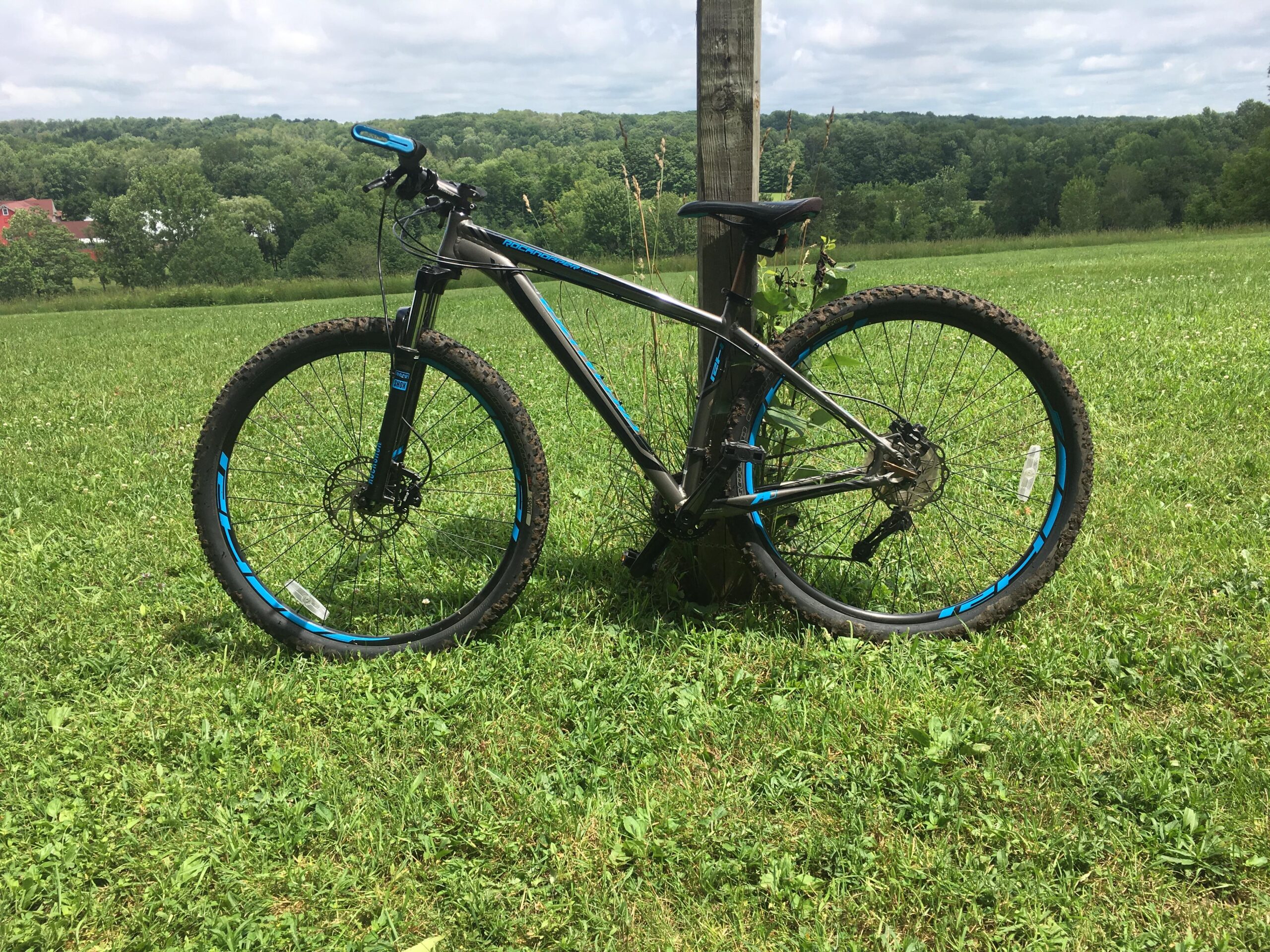 Specialized Rockhopper Comp 29: A mountain bike with a black and blue color scheme, leaning against a wooden post in a grassy field. In the background, lush green trees and a cloudy sky are visible, creating a serene outdoor setting.