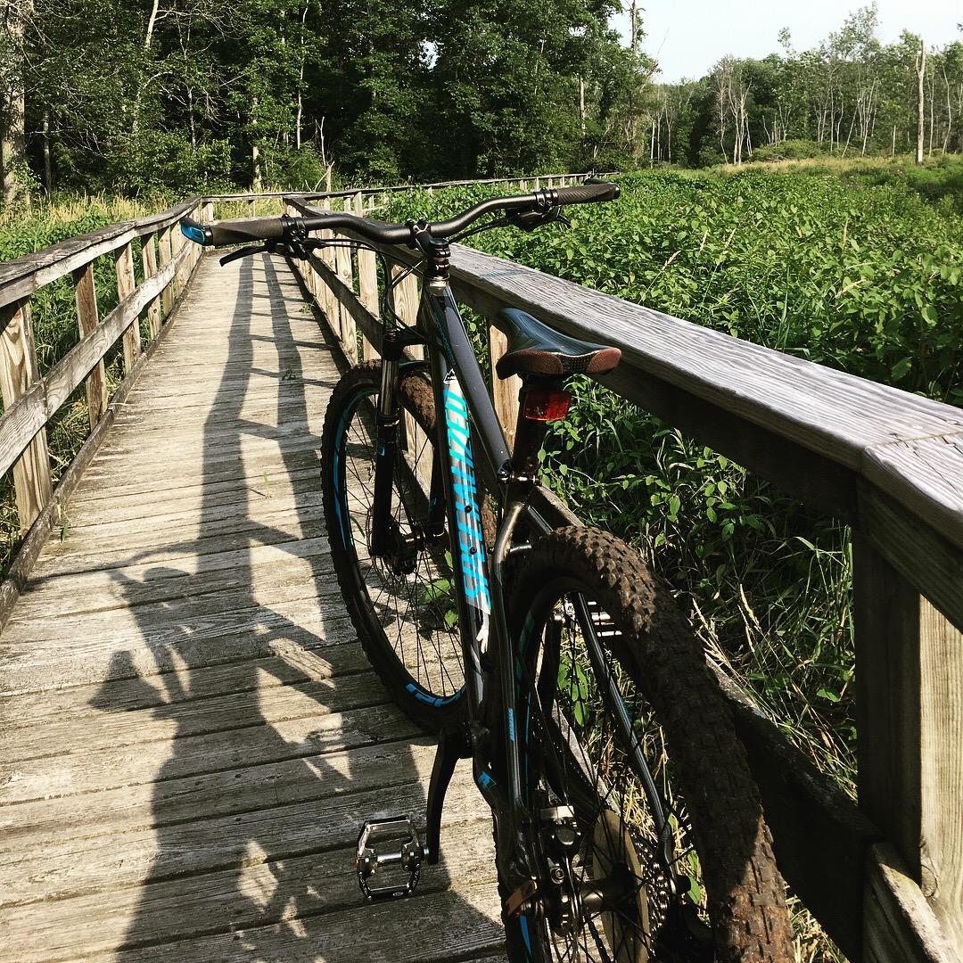 Specialized Rockhopper Comp 29: A mountain bike leaning against the railing of a wooden bridge, surrounded by lush greenery. The path ahead is visible, leading through a natural setting. Sunlight casts shadows of the bike onto the planks of the bridge.