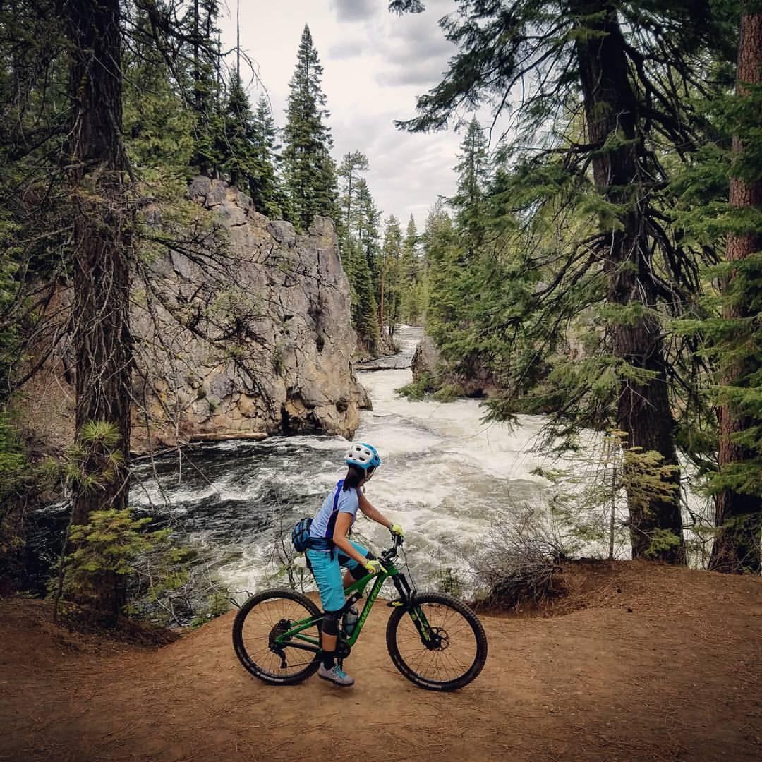 A person in a blue helmet and sporty clothing stands beside a green mountain bike, gazing at a rushing river surrounded by tall coniferous trees and rocky cliffs. The scene captures the beauty of nature and the adventurous spirit of mountain biking. Deschutes River mountain bike trail.