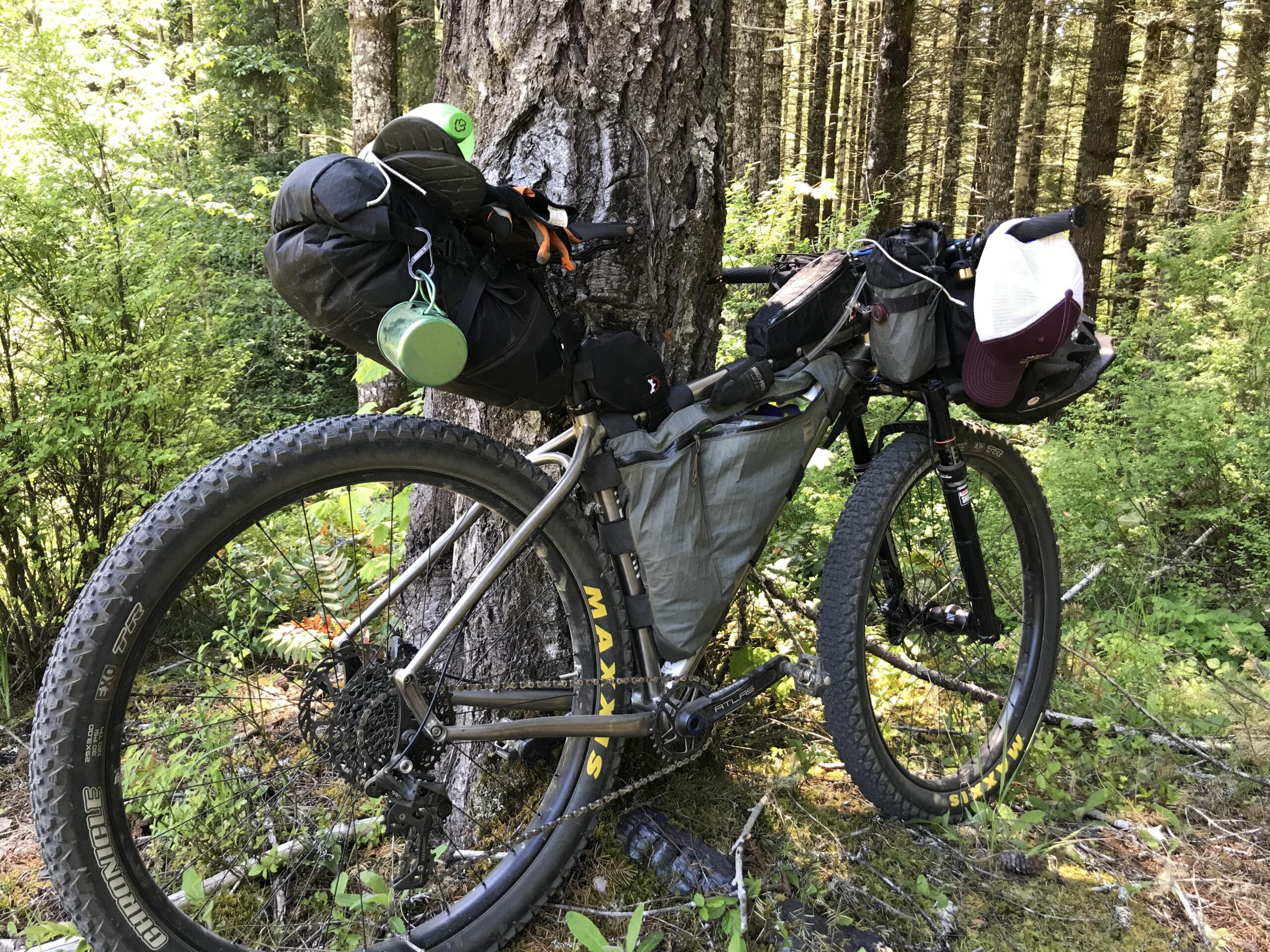 A loaded bicycle with various camping gear attached, resting against a tree in a green forest setting. The bike features thick tires and multiple bags secured to its frame, including a sleeping bag and a water container. Sunlight filters through the trees, illuminating the surrounding vegetation.
