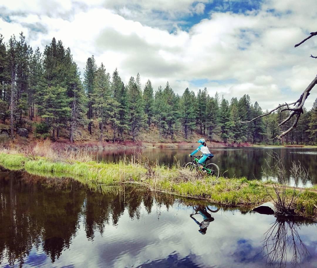 A cyclist riding along a grassy path by a calm lake, surrounded by tall pine trees under a partly cloudy sky. The water reflects the greenery and clouds. Deschutes River mountain bike trail.
