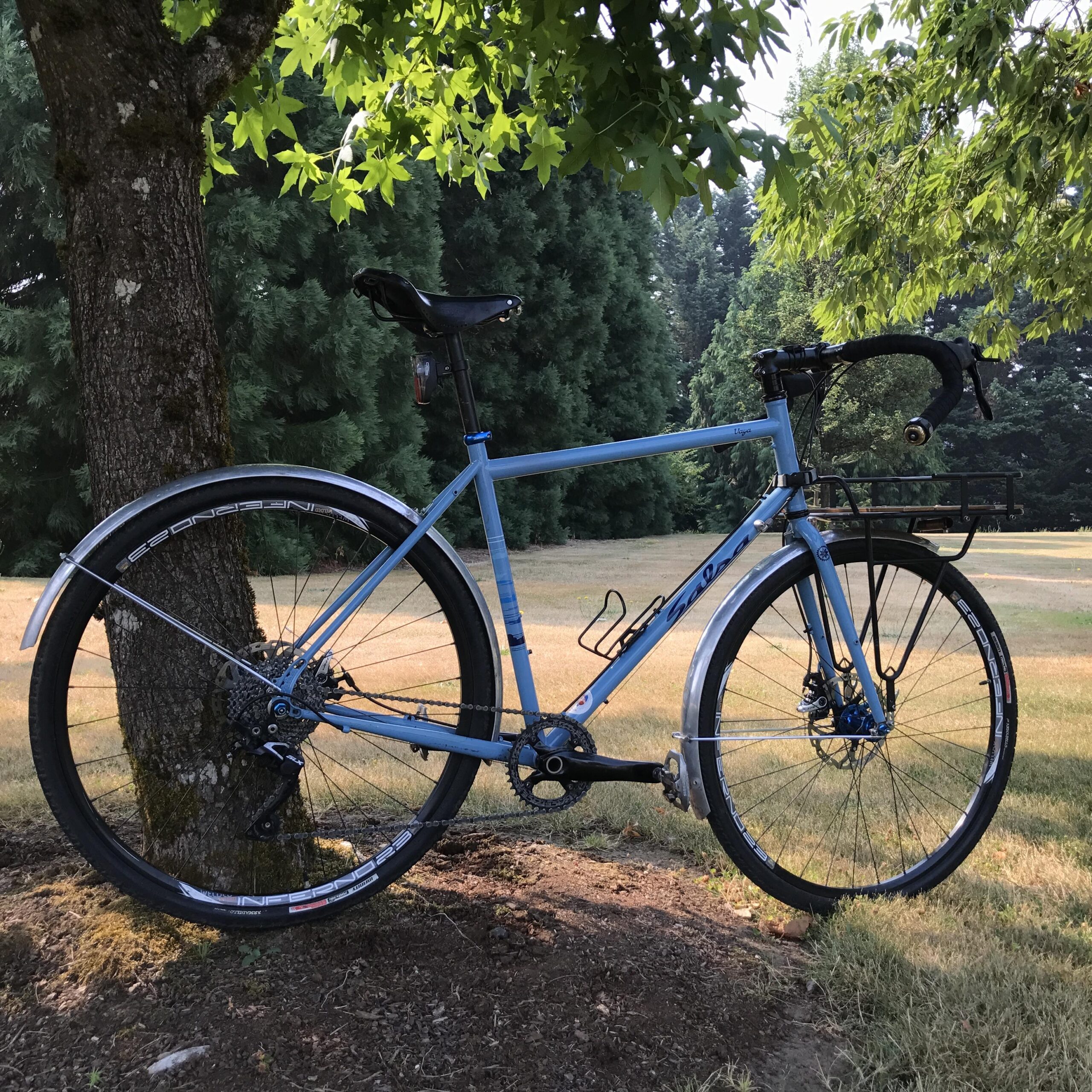 A blue bicycle leaning against a tree in a grassy area, featuring a rear rack and sleek tires, with a backdrop of tall green trees. The scene is illuminated by soft sunlight.