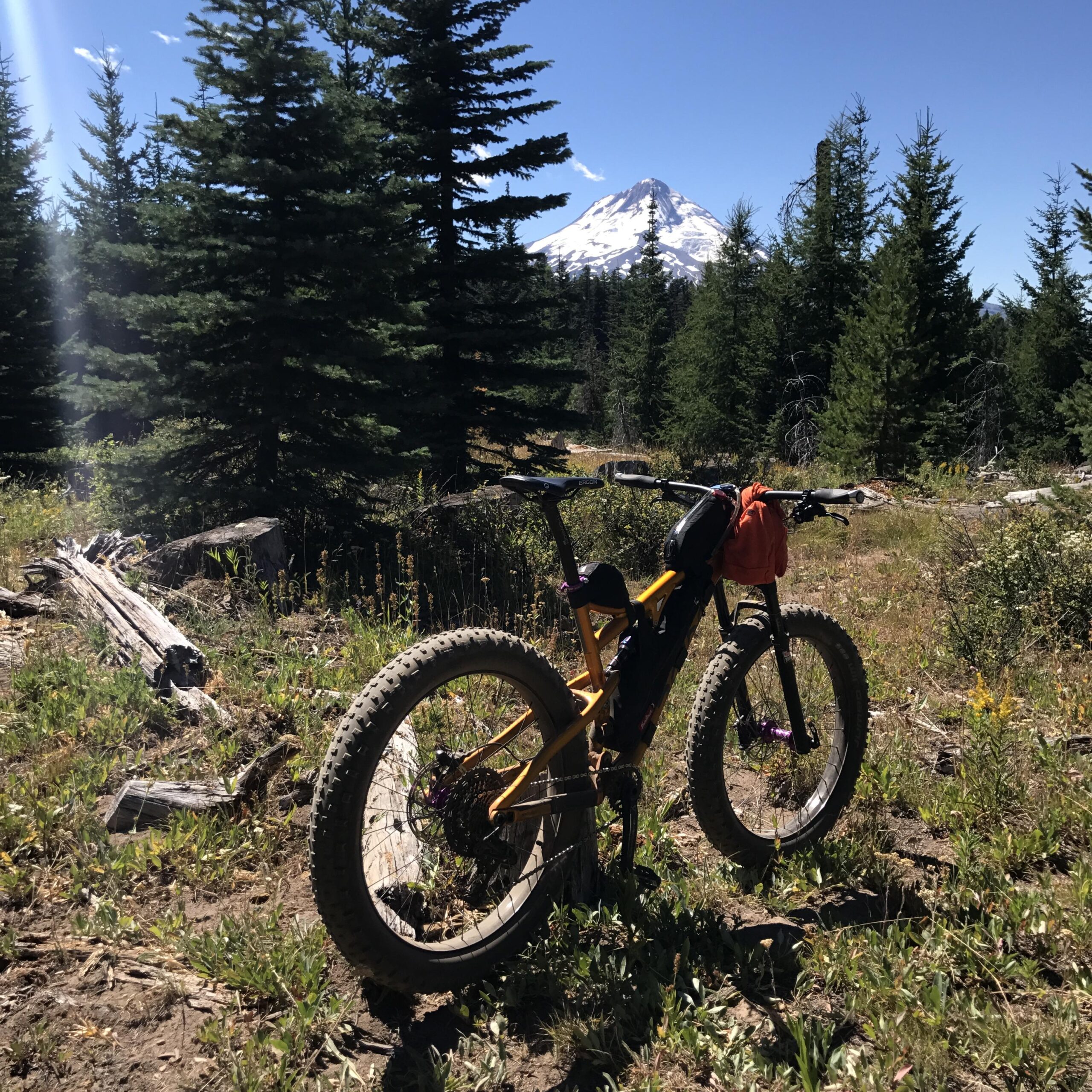 A mountain bike with large tires rests on a trail surrounded by lush greenery, with a snow-capped mountain visible in the background under a clear blue sky.