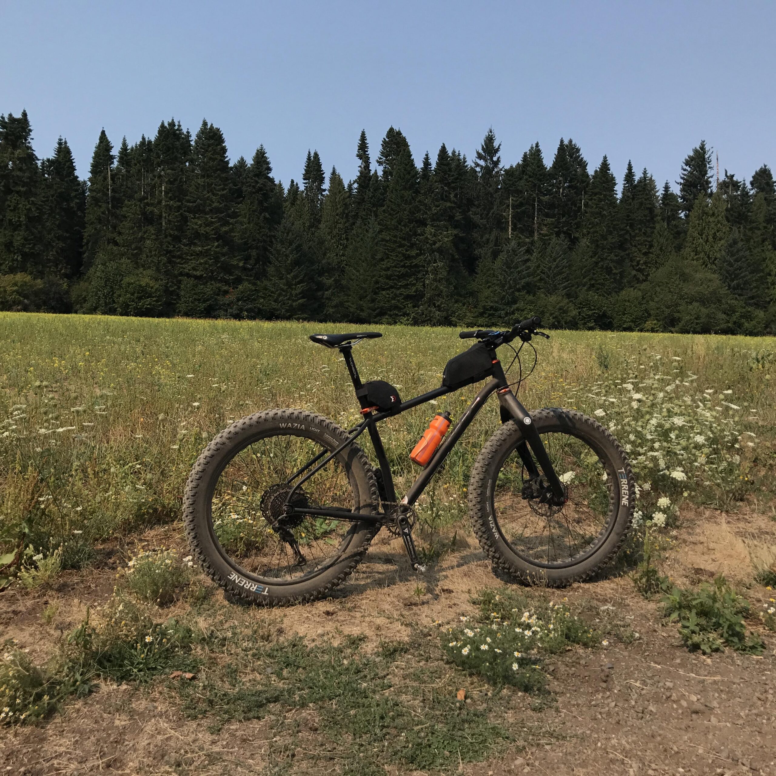 A black mountain bike with thick tires parked on a dirt path next to a field of wildflowers, with a forest of evergreen trees in the background under a clear blue sky. An orange water bottle is mounted on the side of the bike.