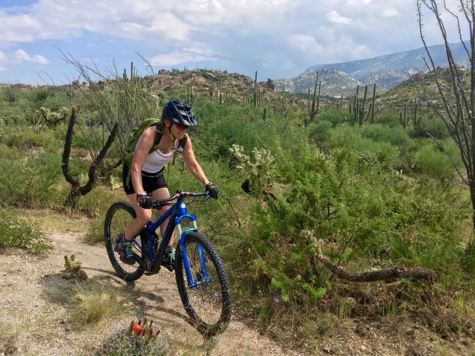A person riding a mountain bike on a dirt trail surrounded by desert vegetation and cacti, with rolling hills and a cloudy sky in the background. 50-year Trail / Golder Ranch mountain bike trail.