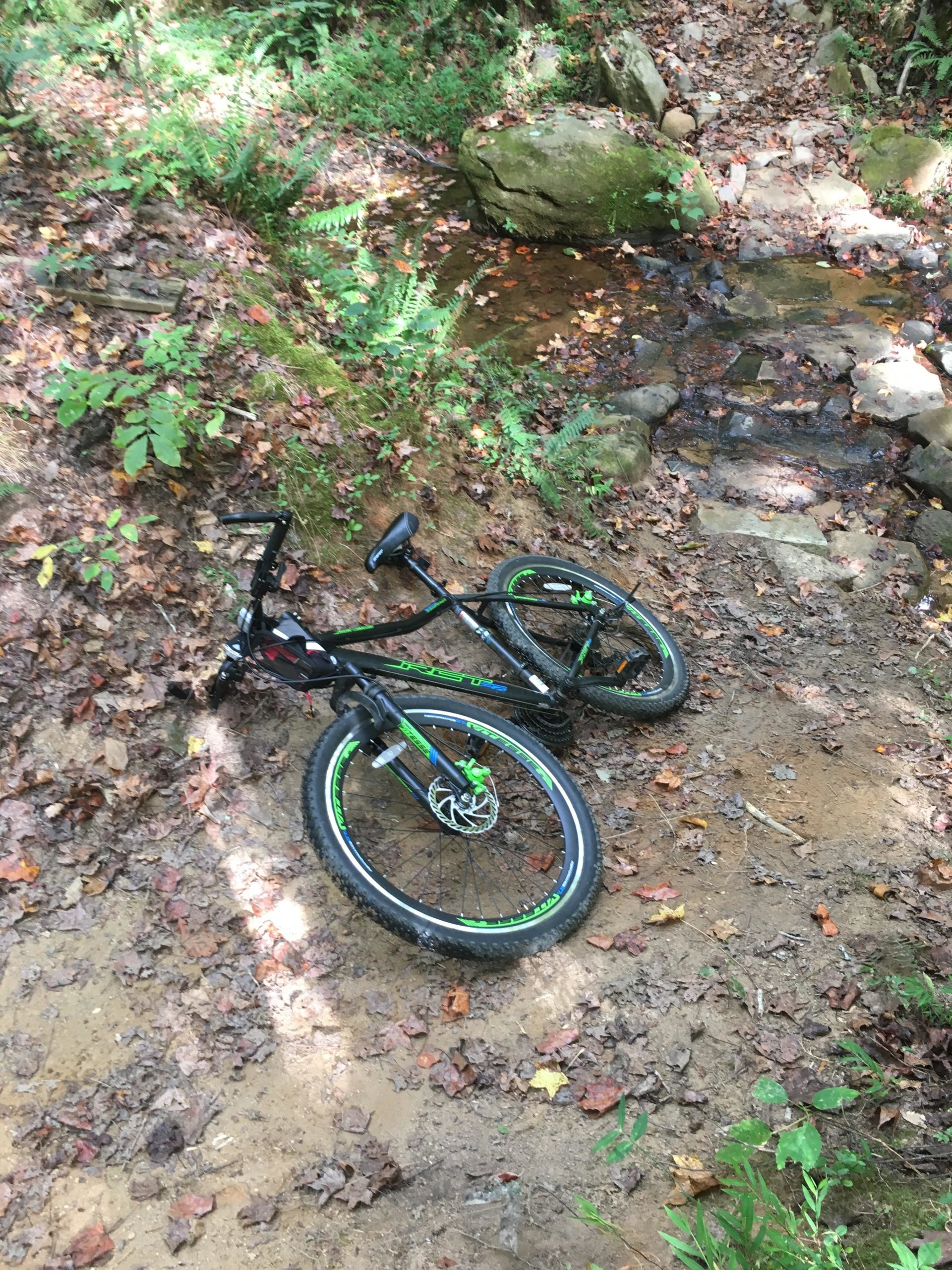 A black and green mountain bike lies on the ground near a small stream, surrounded by fallen leaves and lush greenery in a forested area. Kernersville MTB park mountain bike trail.