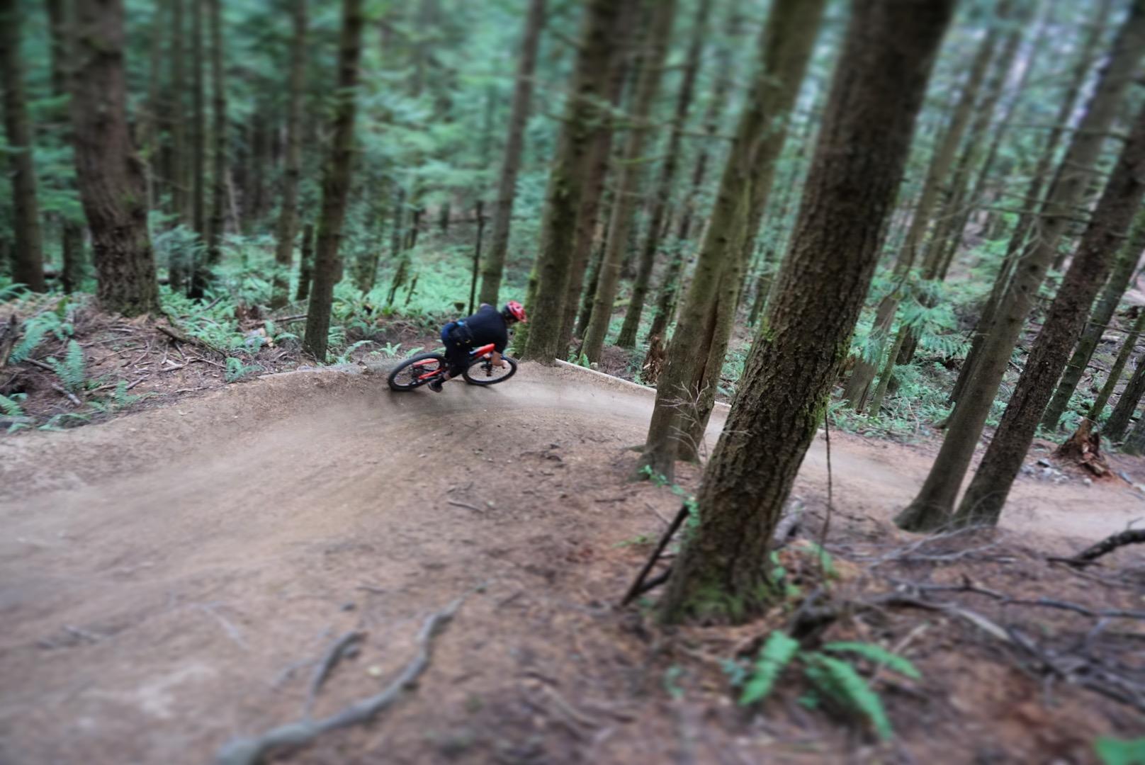 A mountain biker leans into a curve on a dirt trail, surrounded by tall, green trees and ferns in a forest setting. The bike kicks up a slight cloud of dust as it navigates the winding path. Galbraith Mountain mountain bike trail.