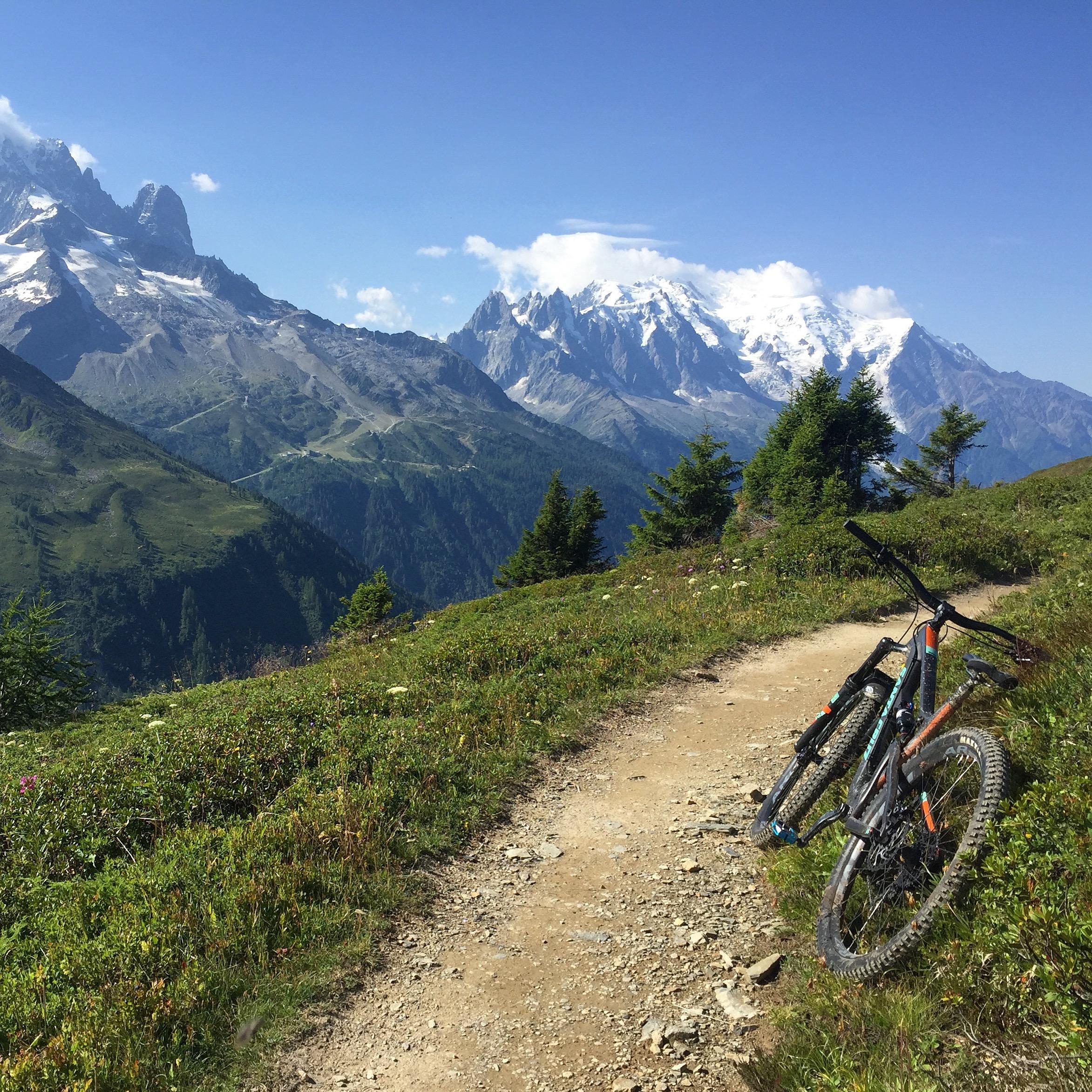 Santa Cruz Hightower 29er/27.5: A scenic mountain landscape featuring a dirt trail surrounded by lush greenery, with two mountain bikes leaning against a bush. In the background, snow-capped peaks and a clear blue sky create a stunning backdrop.
