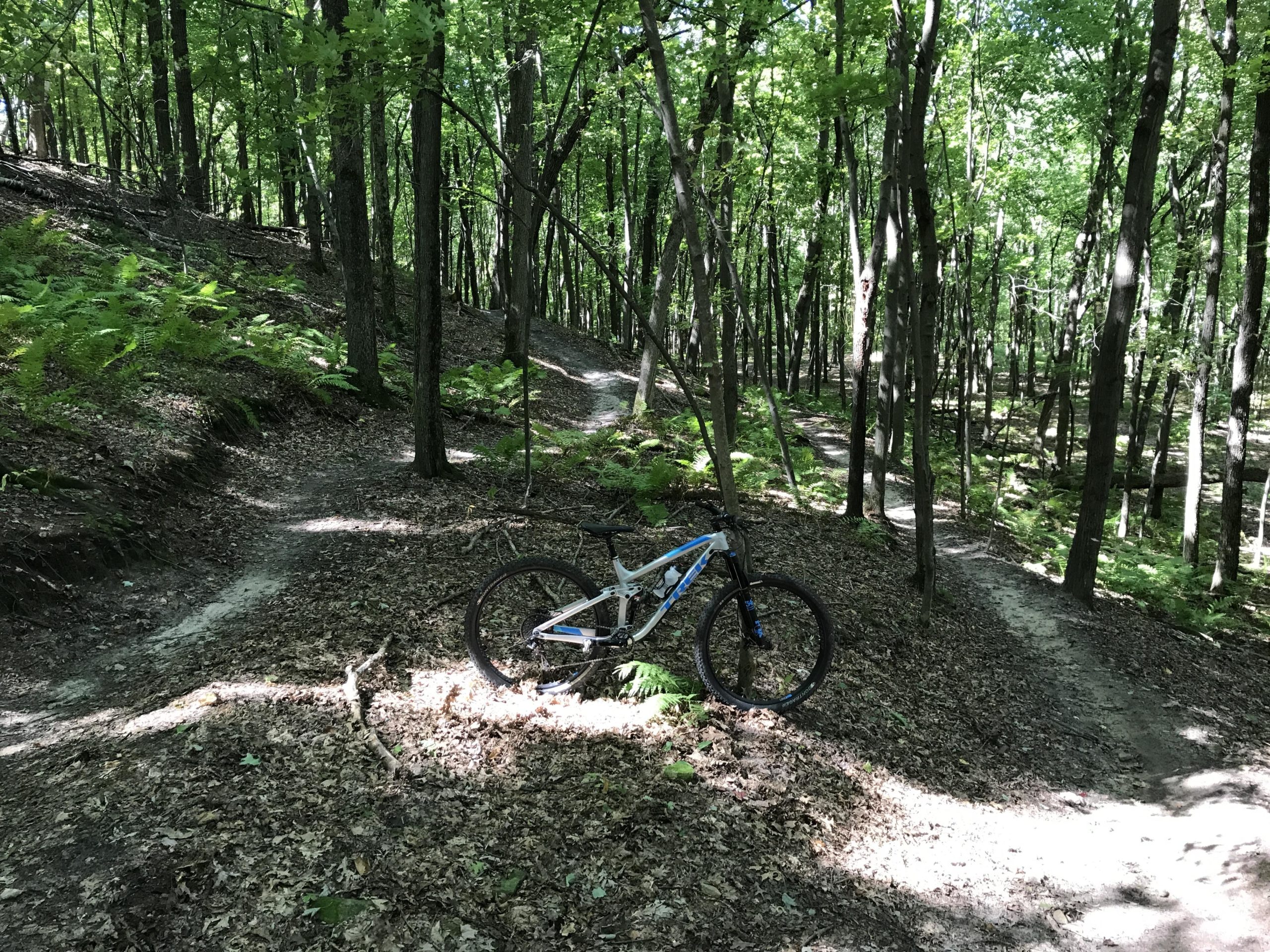 A mountain bike resting on a dirt trail in a lush green forest, surrounded by trees and ferns. The sunlight filters through the leaves, creating dappled light on the ground. Two distinct biking paths can be seen in the background, leading into the woods. Northwest Park mountain bike trail.