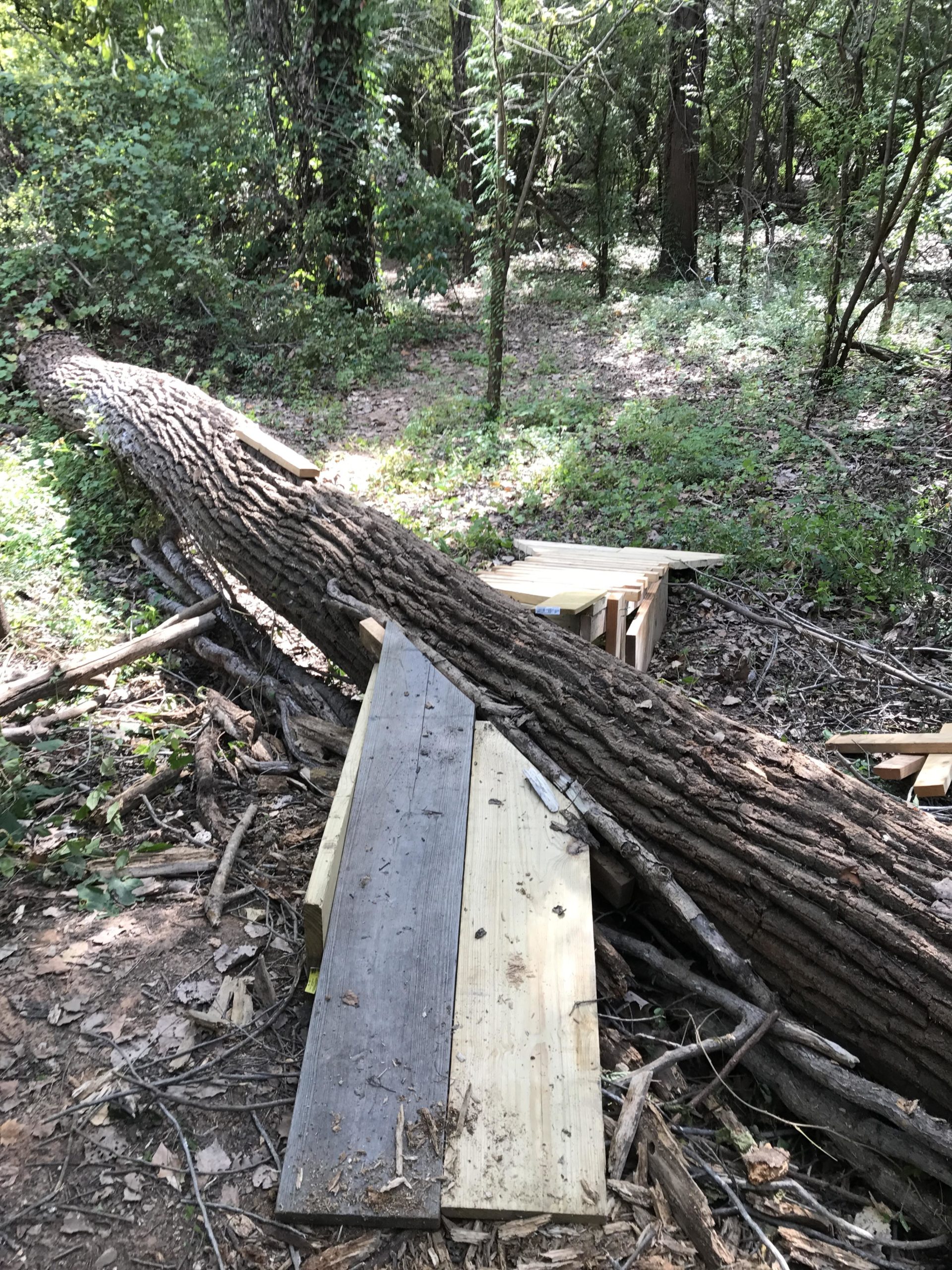 A fallen tree trunk lies on the ground in a wooded area, surrounded by greenery and underbrush. In the foreground, wooden planks are positioned near the tree, partially covered with leaves and twigs. Sunlight filters through the trees, illuminating the scene. Stoner Park mountain bike trail.