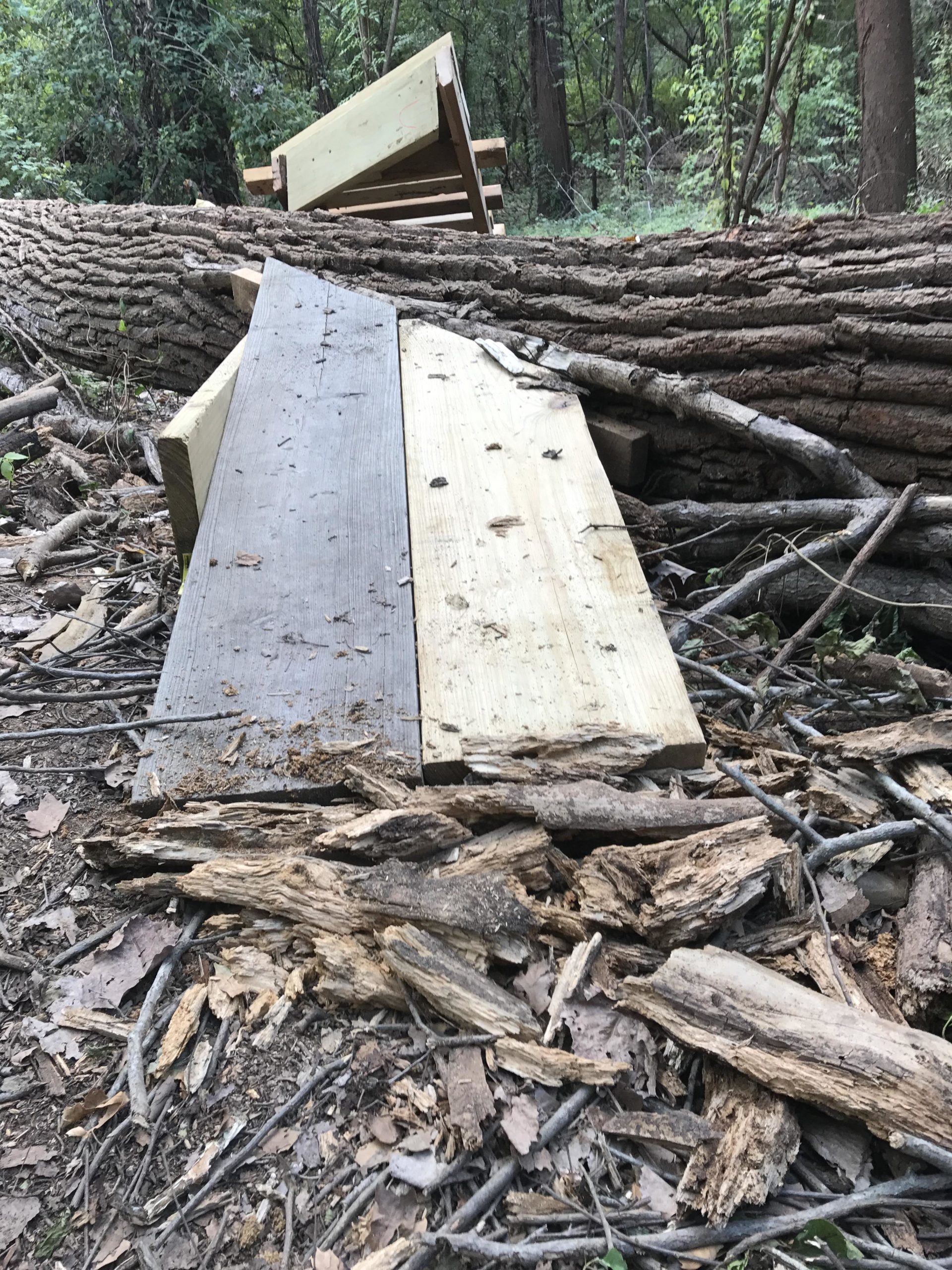 A close-up view of two wooden boards resting on a pile of debris, including broken branches and wood shavings, in a forested area. In the background, part of a larger fallen tree is visible, alongside more wooden structures. The scene is surrounded by greenery, creating a natural, earthy atmosphere. Stoner Park mountain bike trail.