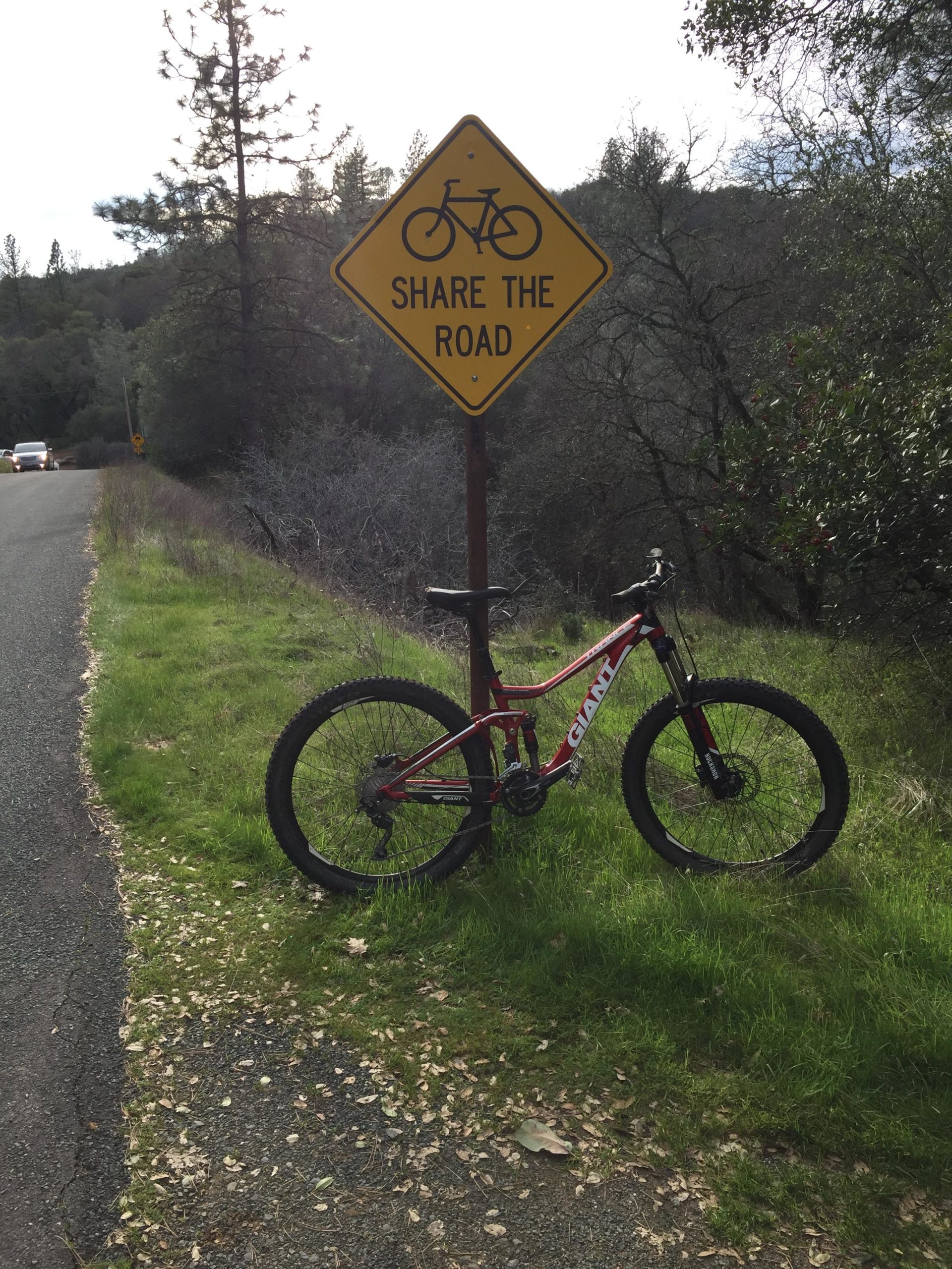 A red mountain bike leaning against a yellow "Share the Road" sign, situated beside a quiet country road surrounded by trees and grasses. Clementine / Forresthill Connector Trail mountain bike trail.