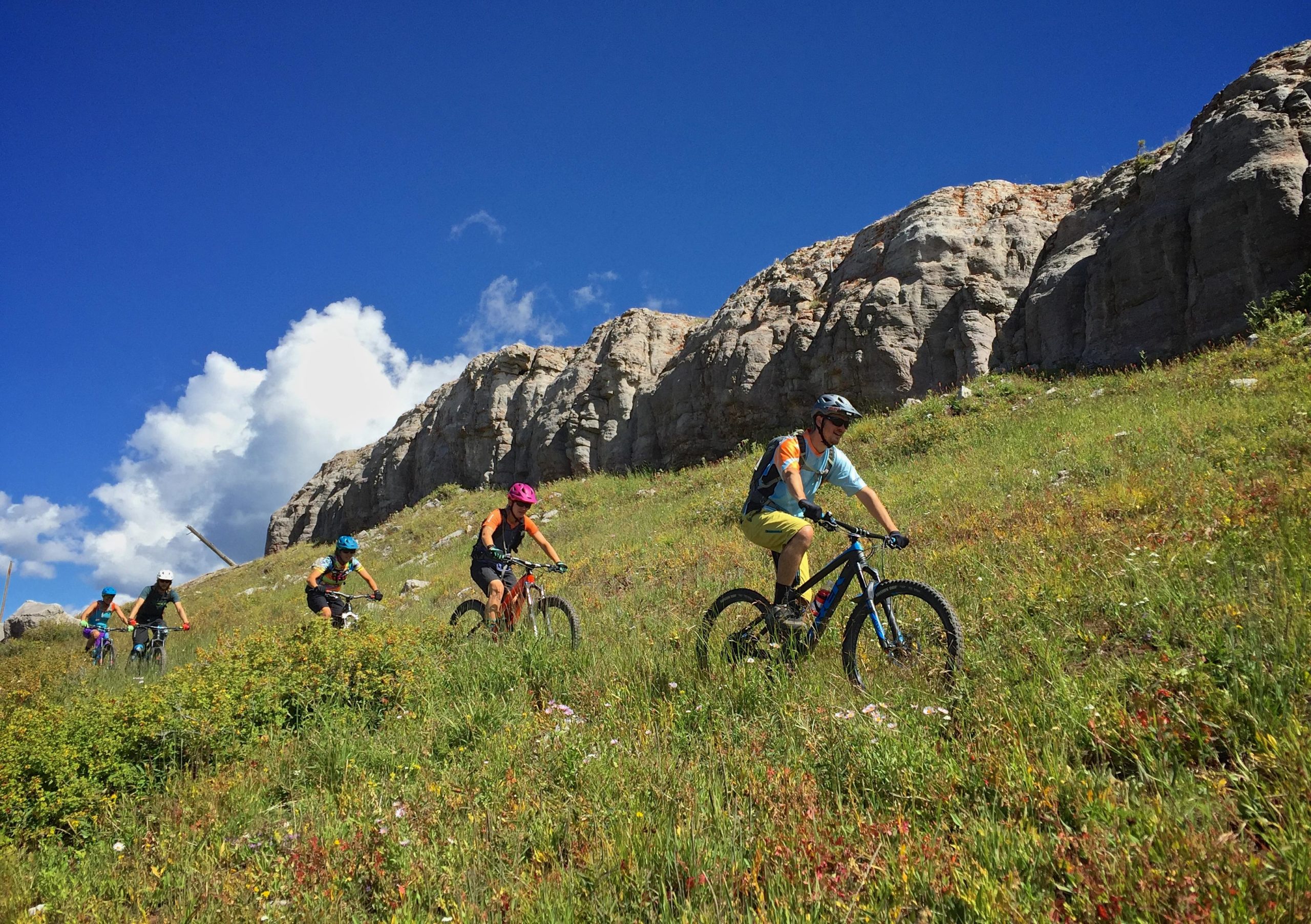 A group of four mountain bikers riding through a grassy area with colorful wildflowers, set against a backdrop of rocky cliffs and a clear blue sky. The cyclists are wearing helmets and colorful jerseys, enjoying a sunny day outdoors. Two Elk via Vail Pass mountain bike trail.