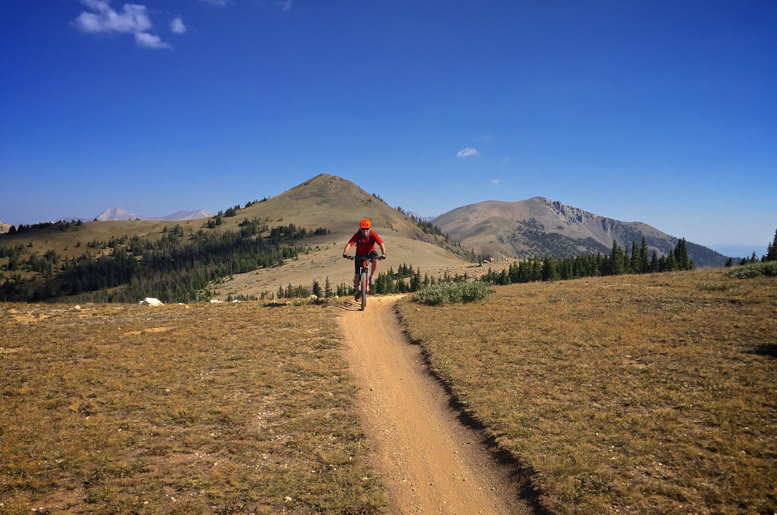 Mountain biker riding on a dirt trail through a grassy landscape, with rolling hills and pine trees in the background under a clear blue sky. Monarch Crest Trail mountain bike trail.