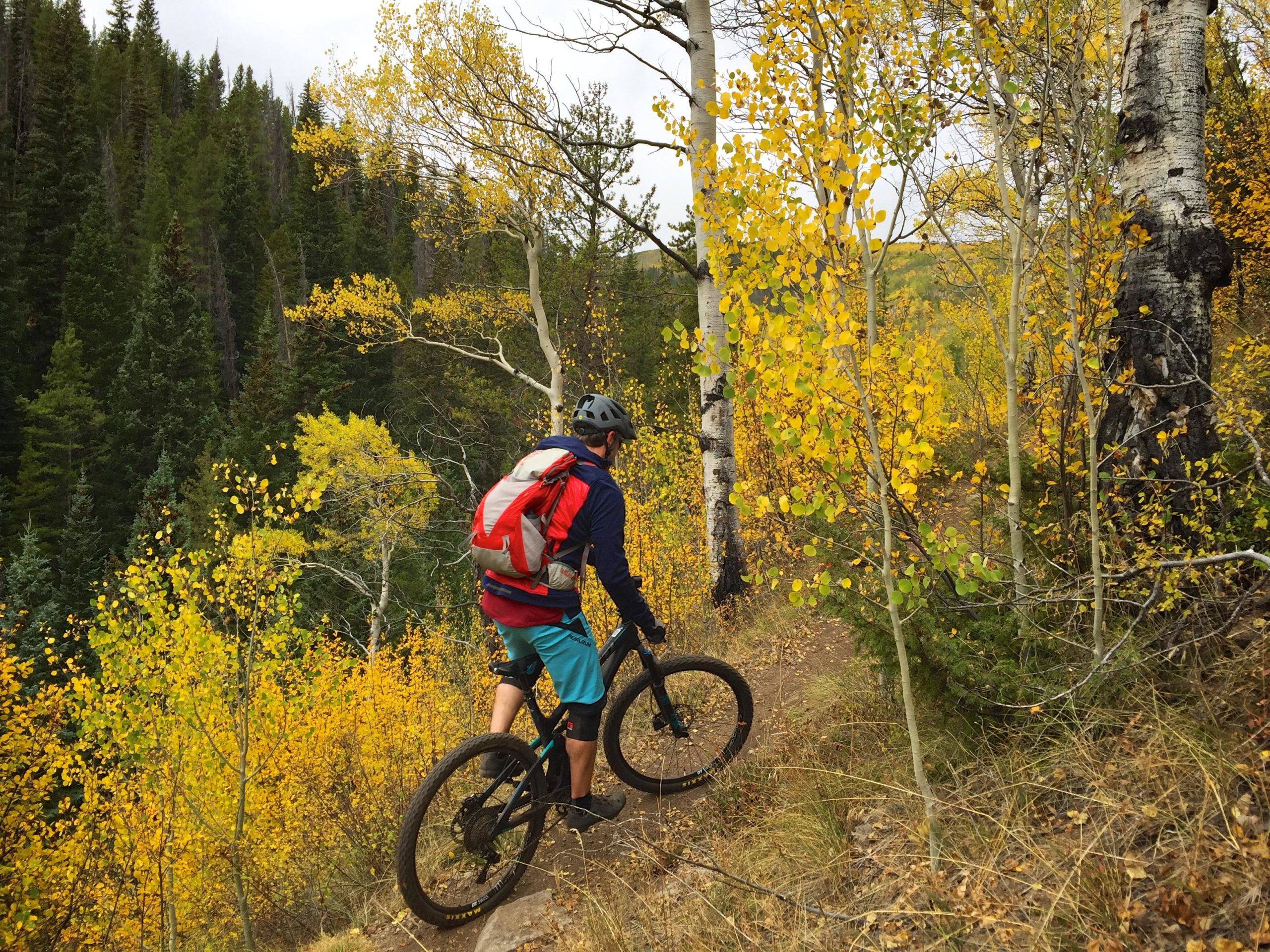 A mountain biker rides along a narrow trail surrounded by vibrant autumn foliage, featuring yellow and green leaves. The rider, wearing a helmet and backpack, is positioned on a hillside with a backdrop of coniferous trees and aspen trunks. Two Elk via Vail Pass mountain bike trail.