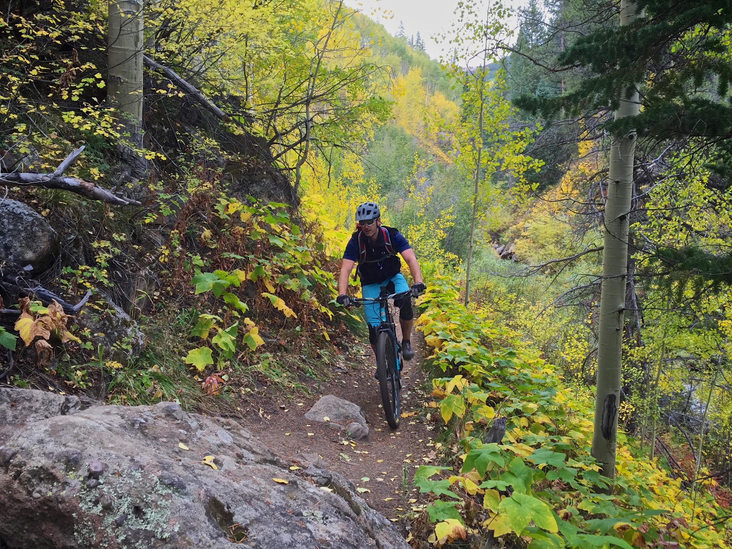 A mountain biker navigates a narrow trail surrounded by vibrant autumn foliage, including yellow and green leaves, with rocky terrain and trees lining the path. Two Elk via Vail Pass mountain bike trail.