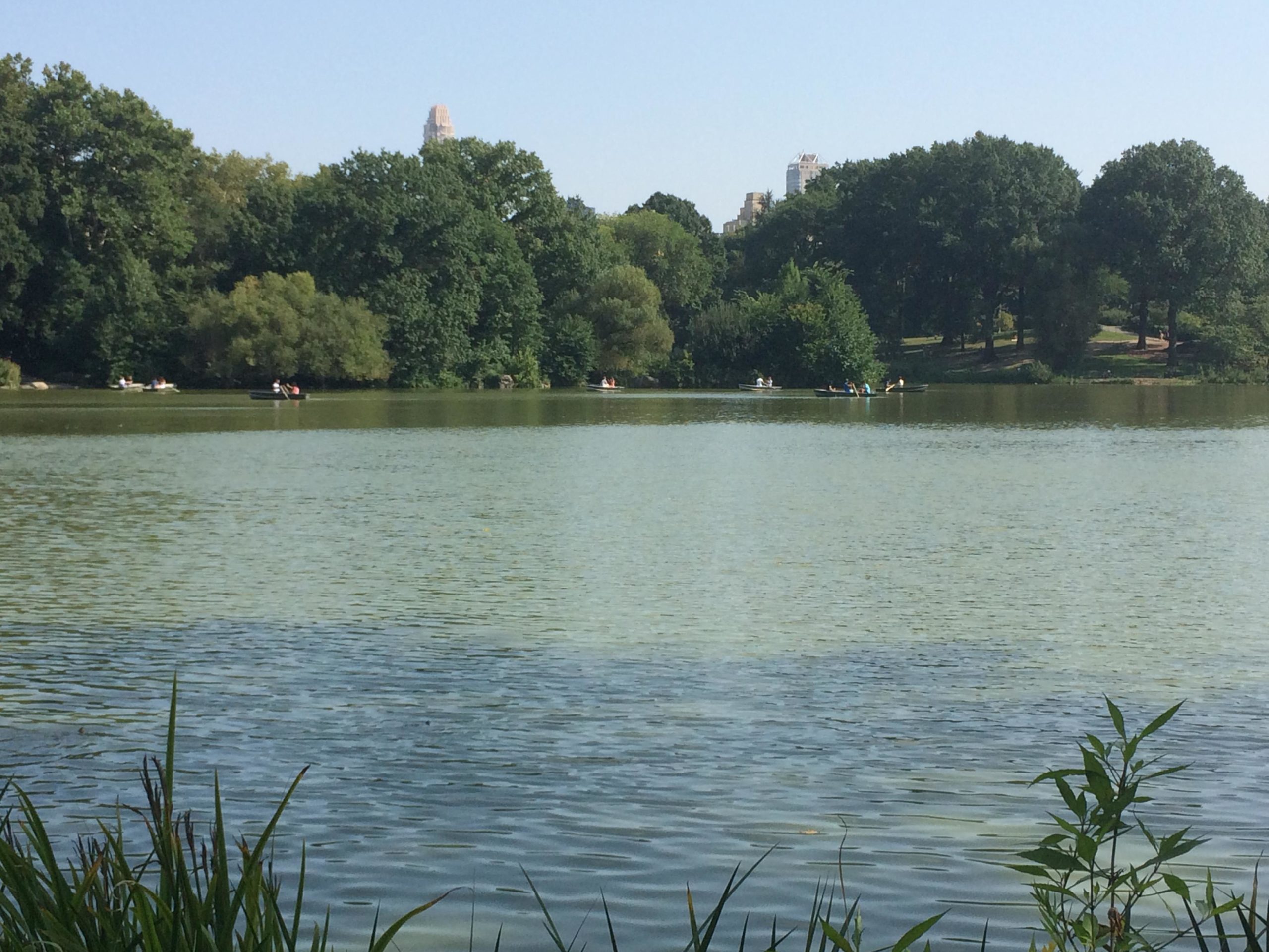 A serene lake surrounded by lush greenery on a sunny day. Several people are seen enjoying recreational activities in small boats on the water, while tall trees line the shore and buildings can be seen in the background. Central Park Green way mountain bike trail.
