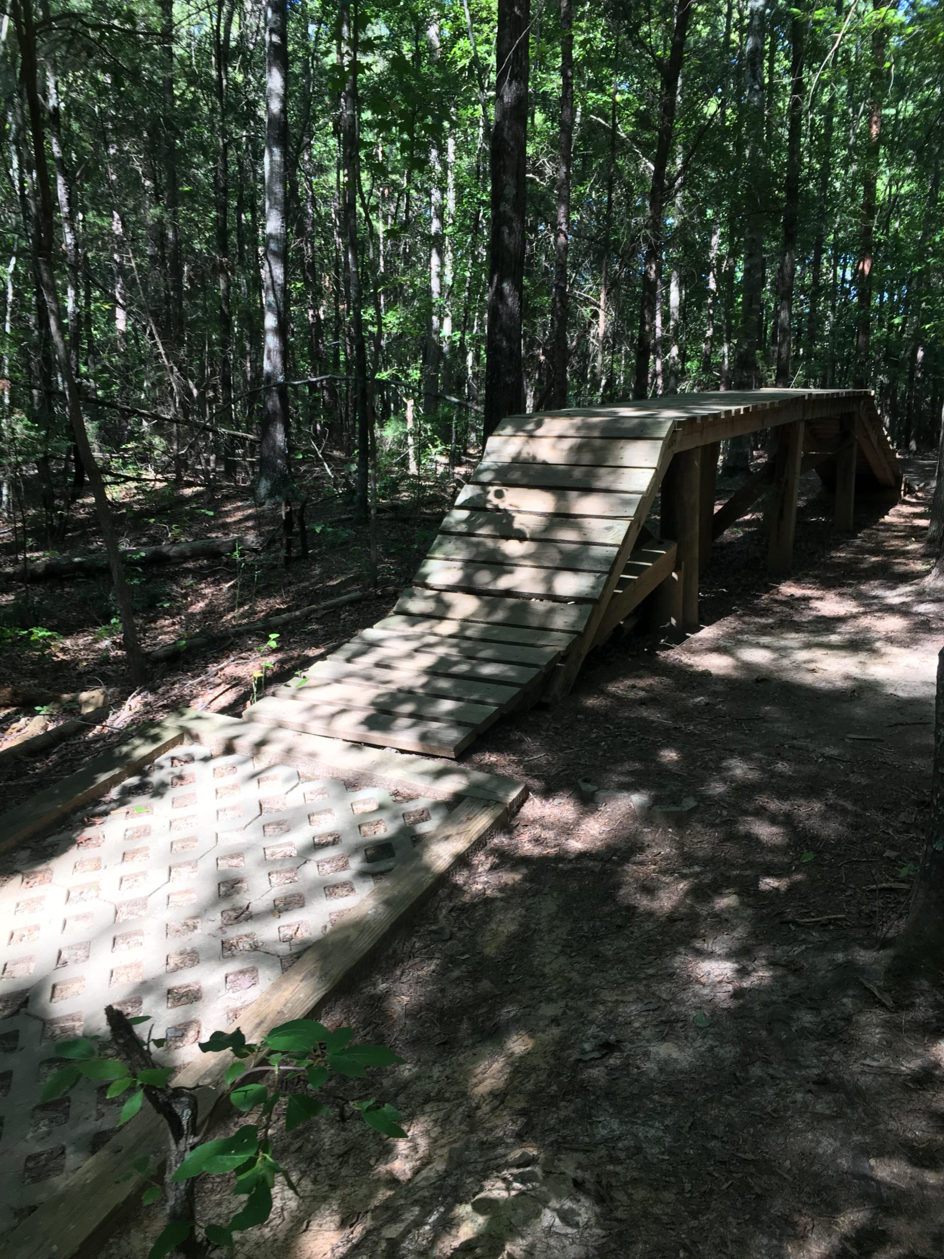 A wooden ramp with a smooth surface and steps, located in a shaded forest area. Sunlight filters through the trees, casting dappled shadows on the ground. The ramp appears to be part of a natural trail, surrounded by tall trees and underbrush. Colonel Francis Beatty Park mountain bike trail.