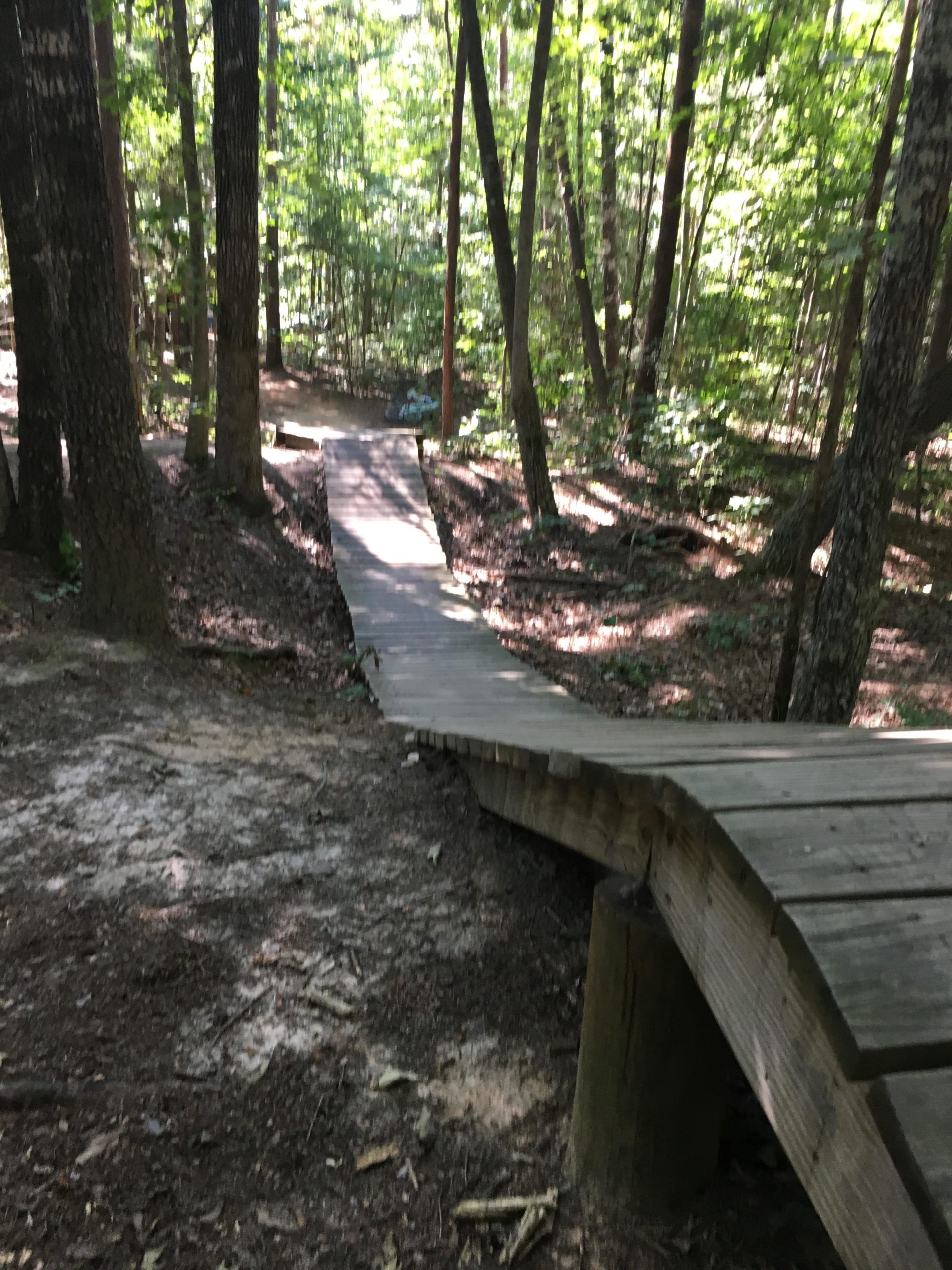 A winding wooden pathway leads through a dense forest, surrounded by tall trees and dappled sunlight filtering through the leaves. The pathway curves gently into the distance, nestled among earthy soil and scattered leaves. Colonel Francis Beatty Park mountain bike trail.