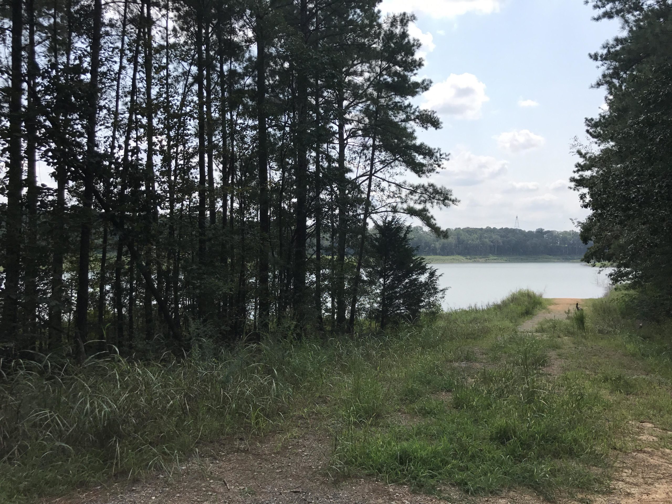 A dirt path bordered by tall grasses leads to a serene lake, surrounded by dense trees. The sky is partly cloudy, with gentle sunlight illuminating the scene. In the distance, the water reflects the blue sky, creating a tranquil atmosphere. Duck River mountain bike trail.