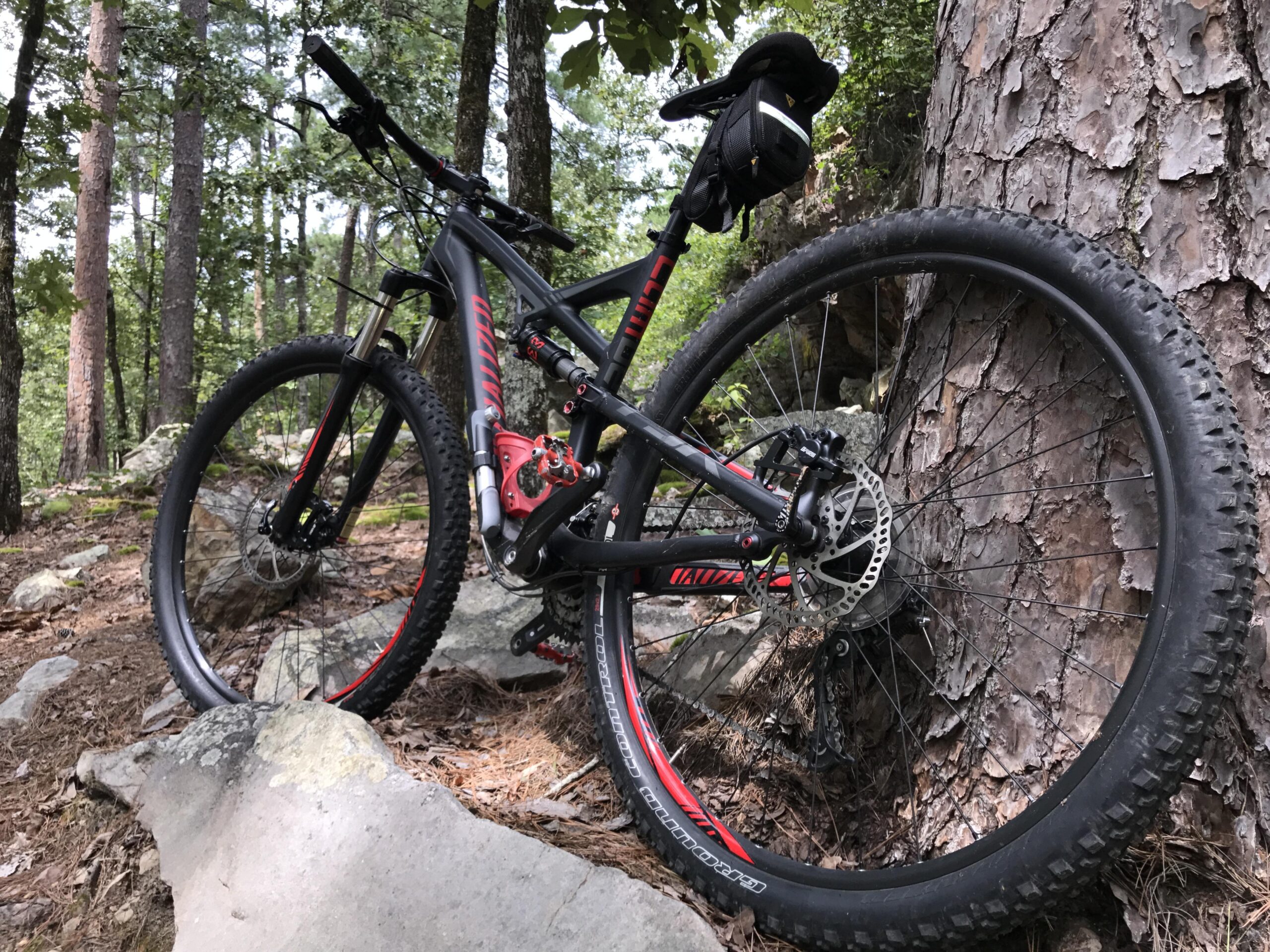 Specialized Camber 29: A mountain bike resting against a tree in a forested area, surrounded by rocks and fallen leaves. The bike features a black frame with red accents and has wide, knobby tires suitable for off-road trails.