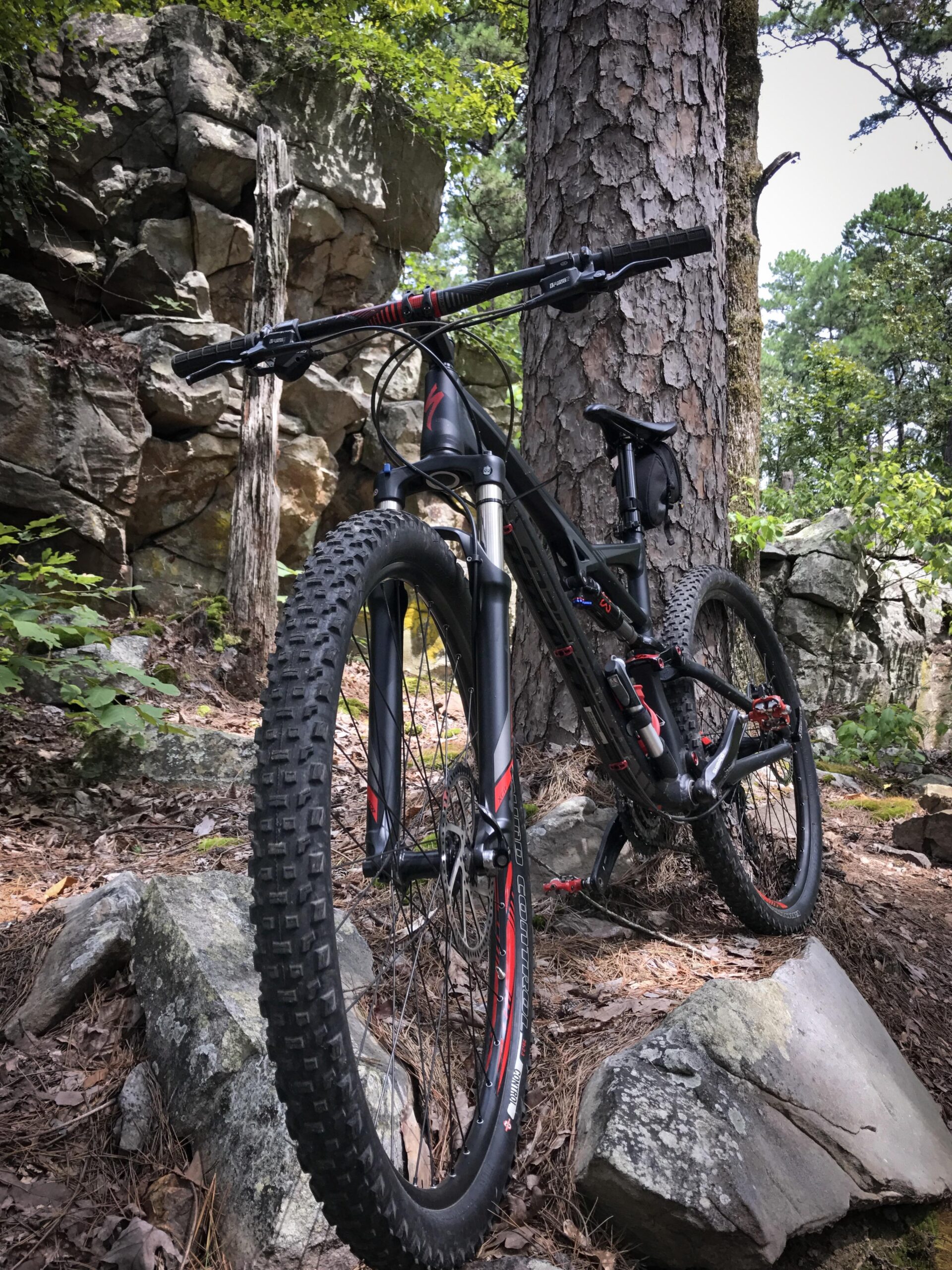Specialized Camber 29: A mountain bike leaning against a tree in a wooded area, surrounded by rocks and greenery. The bike features wide tires and a black frame with red accents, positioned on a bed of pine needles and leaves.