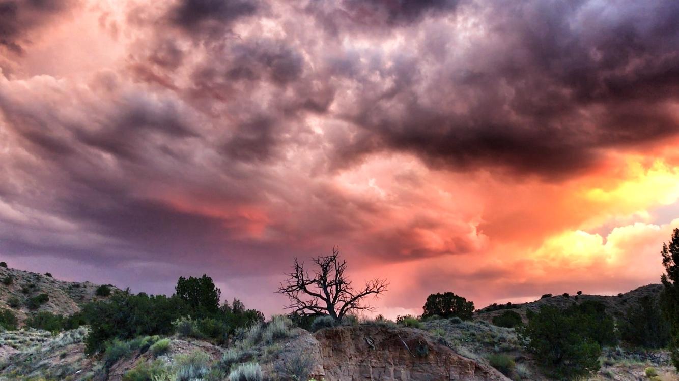 A dramatic sunset casts vibrant hues of orange, pink, and purple across a cloudy sky. In the foreground, a barren tree stands prominently on a hill, surrounded by green shrubs and bushes, with distant hills framing the scene. Mariposa Fat Bike Trails mountain bike trail.