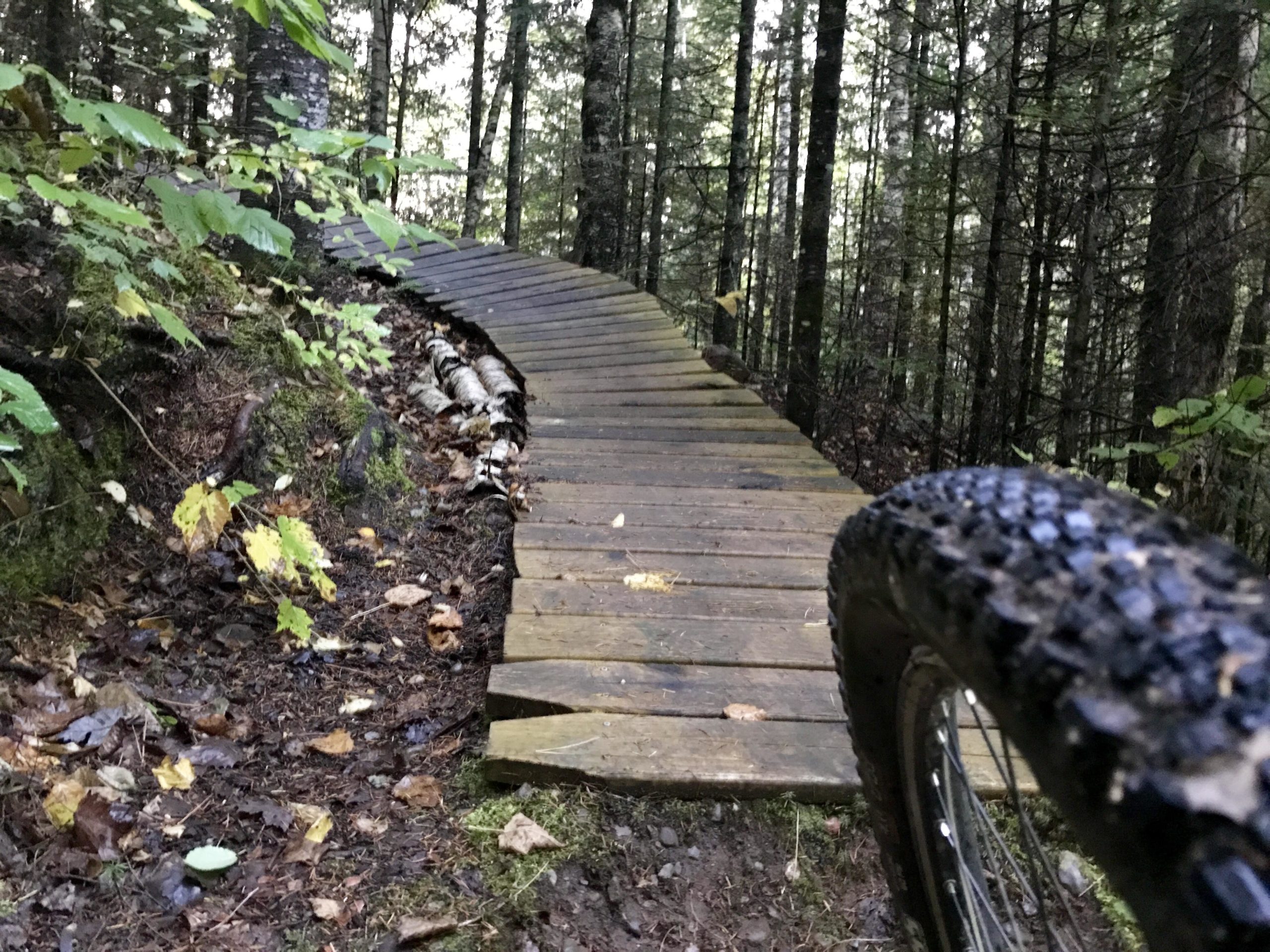 A close-up view of a mountain bike tire alongside a wooden curved pathway in a dense forest. The scene is surrounded by moss-covered rocks and fallen leaves on the ground, with tall trees creating a natural canopy overhead. The Underdown mountain bike trail.