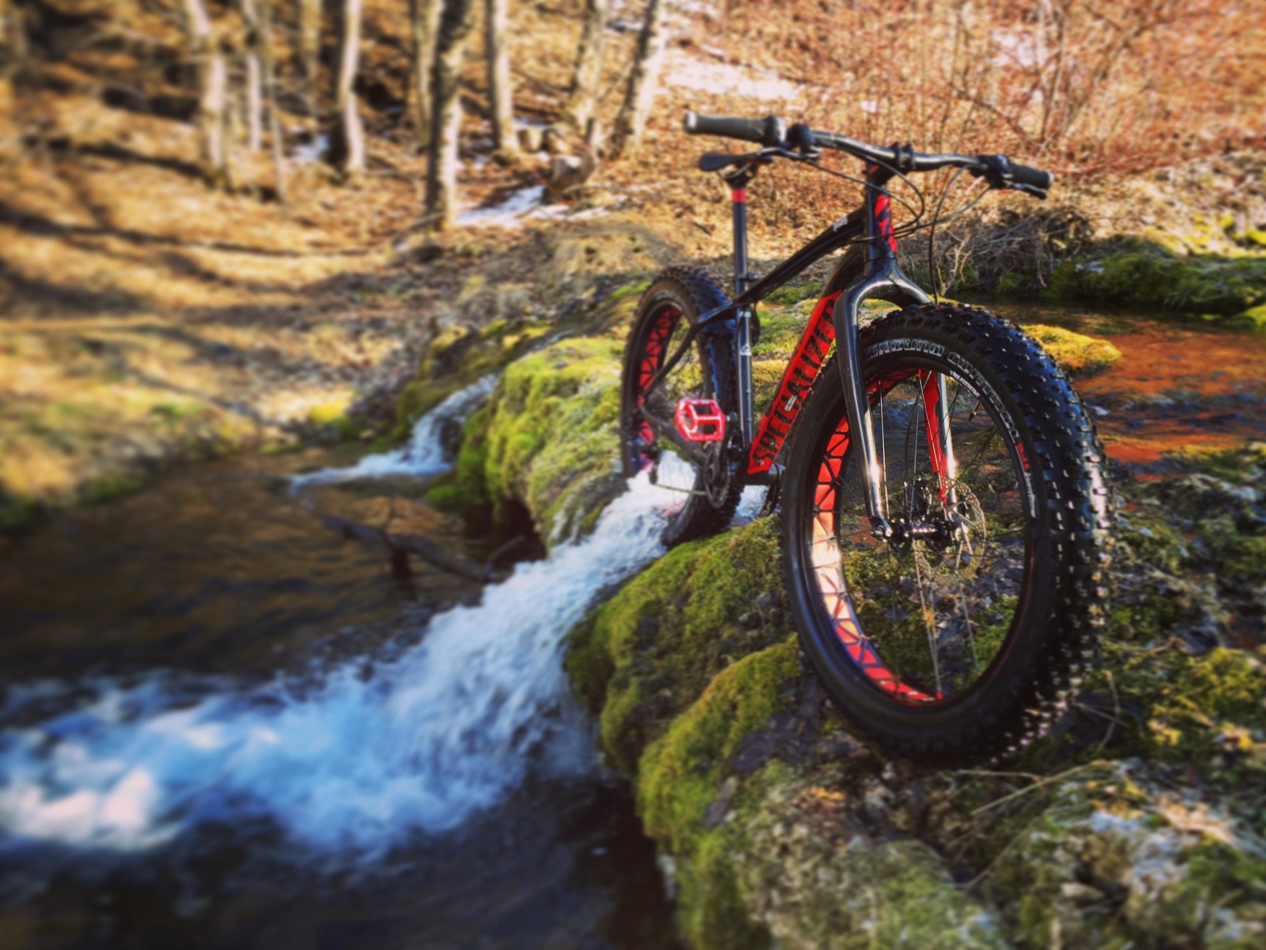 A black and red fat bike is positioned on a moss-covered rock by a small stream, with water flowing around it. The background features a forest setting with trees and dry leaves, suggesting an outdoor adventure scene. Logan River Trail mountain bike trail.