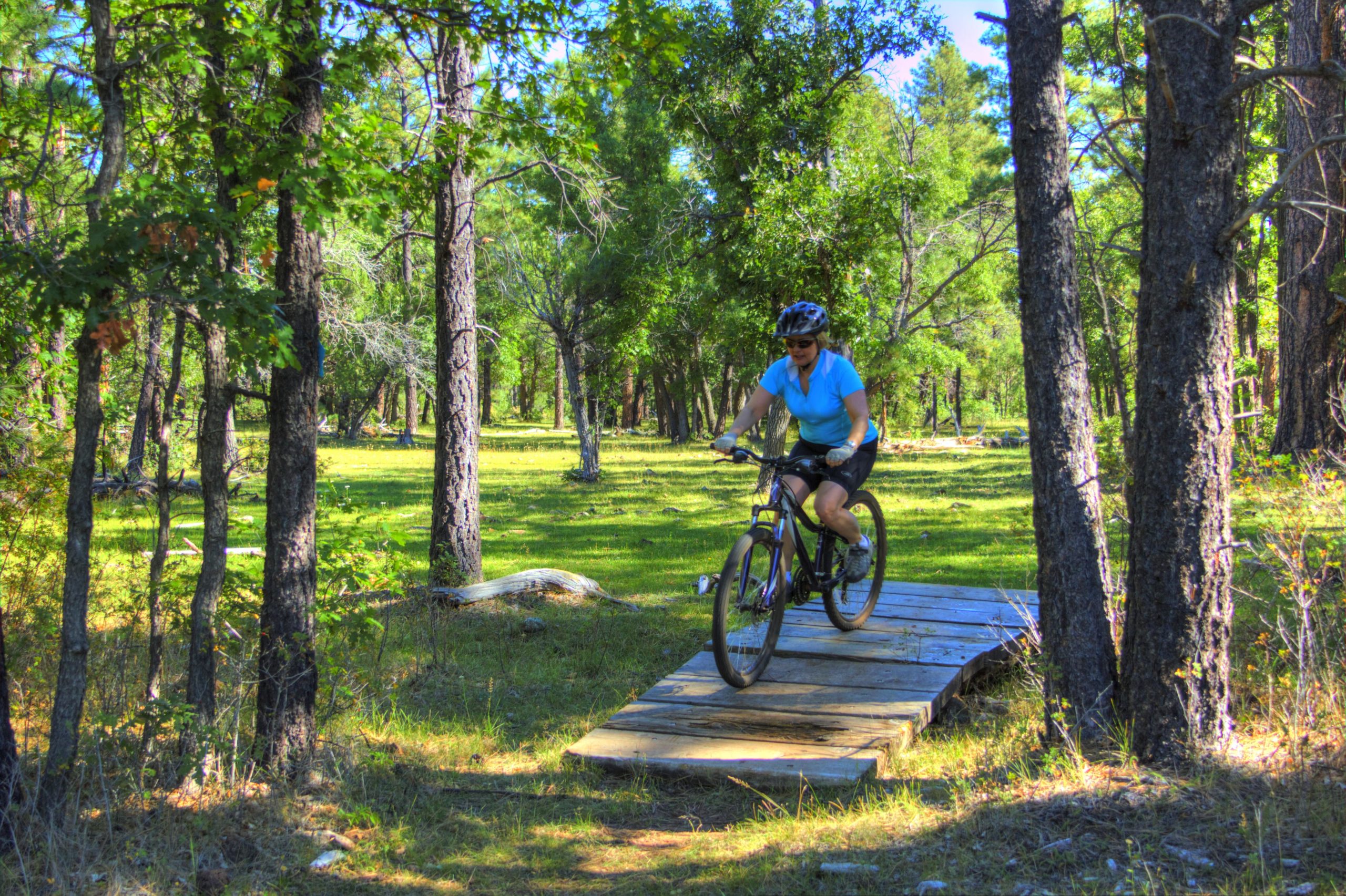 A person riding a mountain bike on a wooden pathway through a lush green forest. The cyclist is wearing a helmet and a blue shirt, surrounded by tall trees and sunlight filtering through the leaves. Land of the Pioneers mountain bike trail.