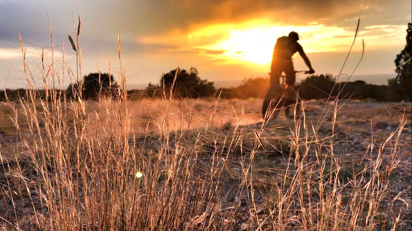 A silhouette of a mountain biker riding through a grassy field at sunset, with tall grass in the foreground and a golden sunset illuminating the sky. Ribbon mountain bike trail.