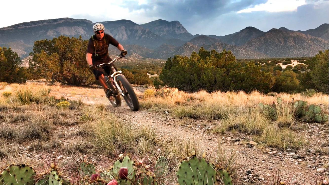 A mountain biker navigating a winding dirt trail in a desert landscape with mountains in the background. The scene features cacti and grass in the foreground, with a dramatic sky above. Placitas Trails mountain bike trail.