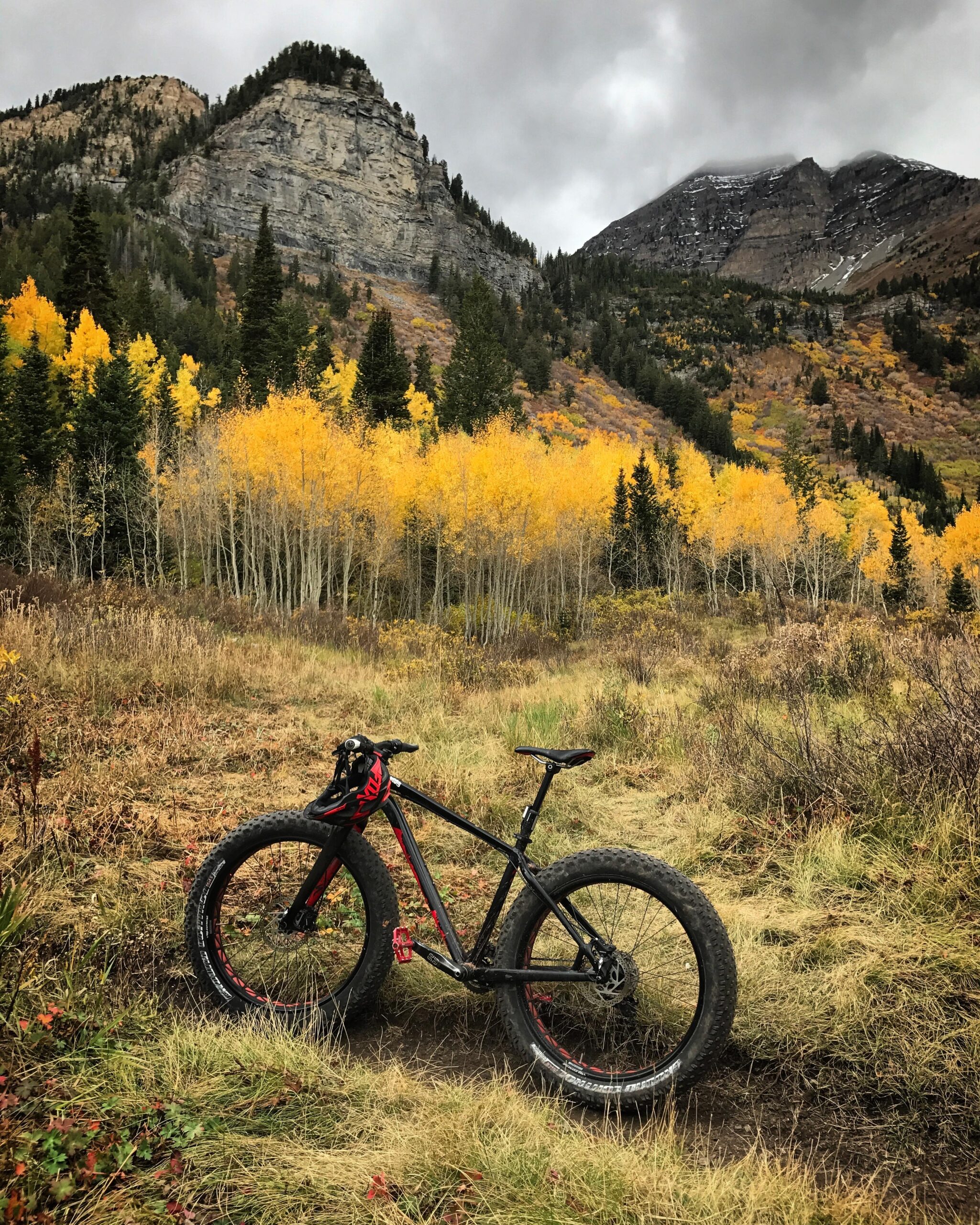 Specialized Fatboy: A fat bike parked on a grassy trail surrounded by autumn foliage, with vibrant yellow aspen trees and mountains in the background under a cloudy sky.