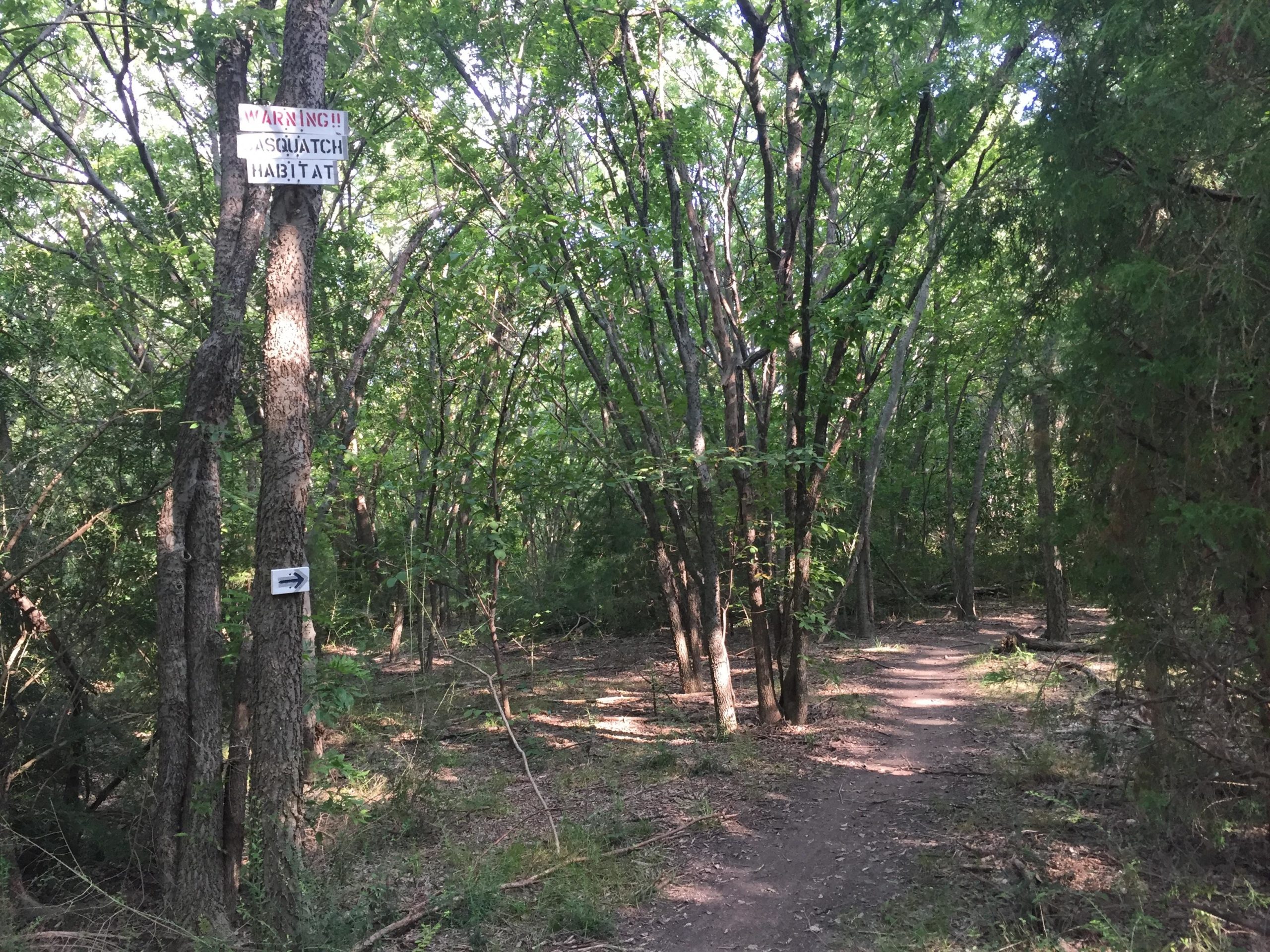 A wooded path surrounded by trees, featuring a warning sign about Sasquatch habitat affixed to a tree trunk. An arrow points along the trail, guiding visitors through the greenery. Katie Jackson mountain bike trail.