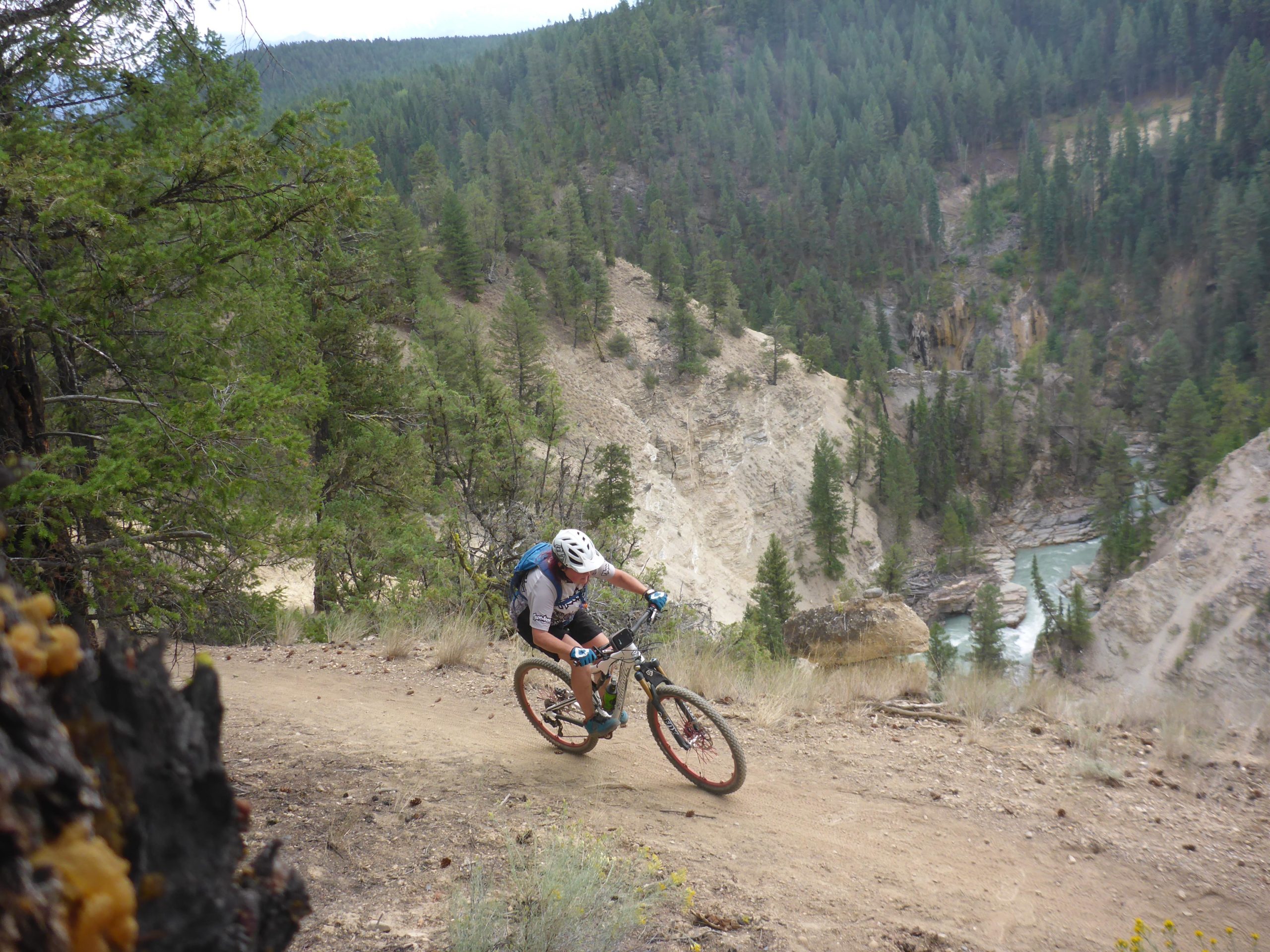 A mountain biker navigating a dirt trail on a hillside surrounded by lush green trees, with a scenic view of a river and rocky terrain below. Lake Lillian mountain bike trail.