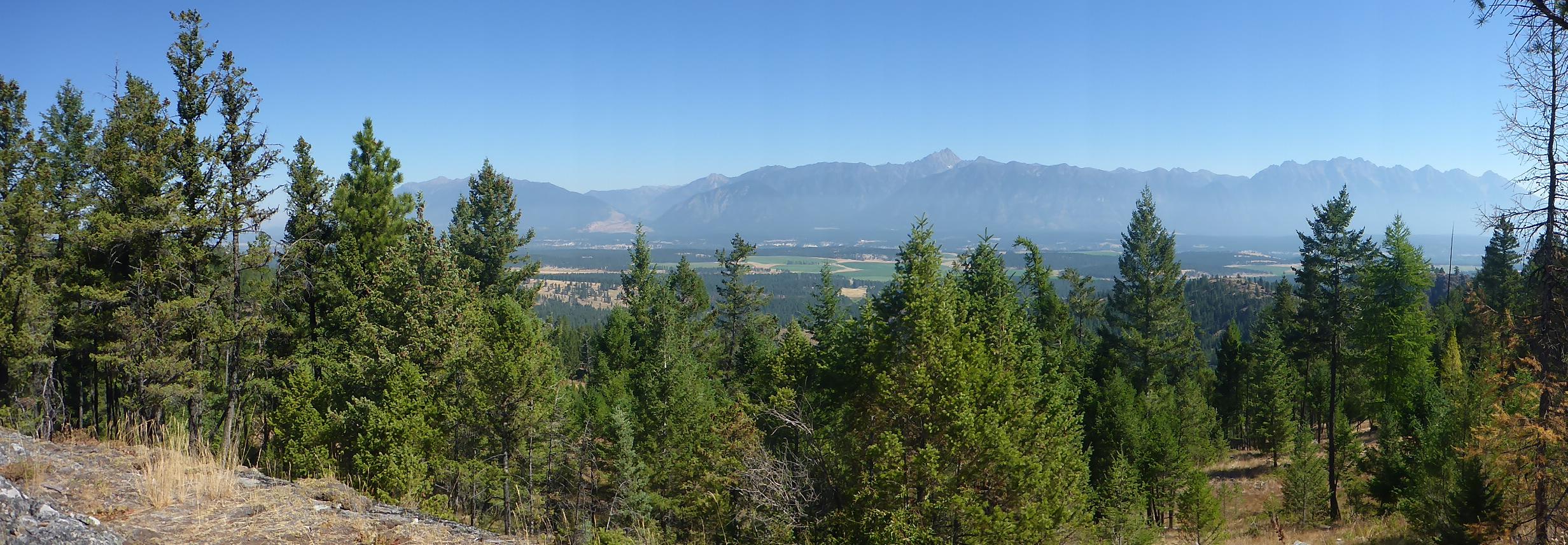 A panoramic view of a mountainous landscape featuring lush green coniferous trees in the foreground, with rolling hills and distant mountain ranges under a clear blue sky. The scene captures the natural beauty and tranquility of an outdoor setting. Cranbrook Community Forest - South mountain bike trail.