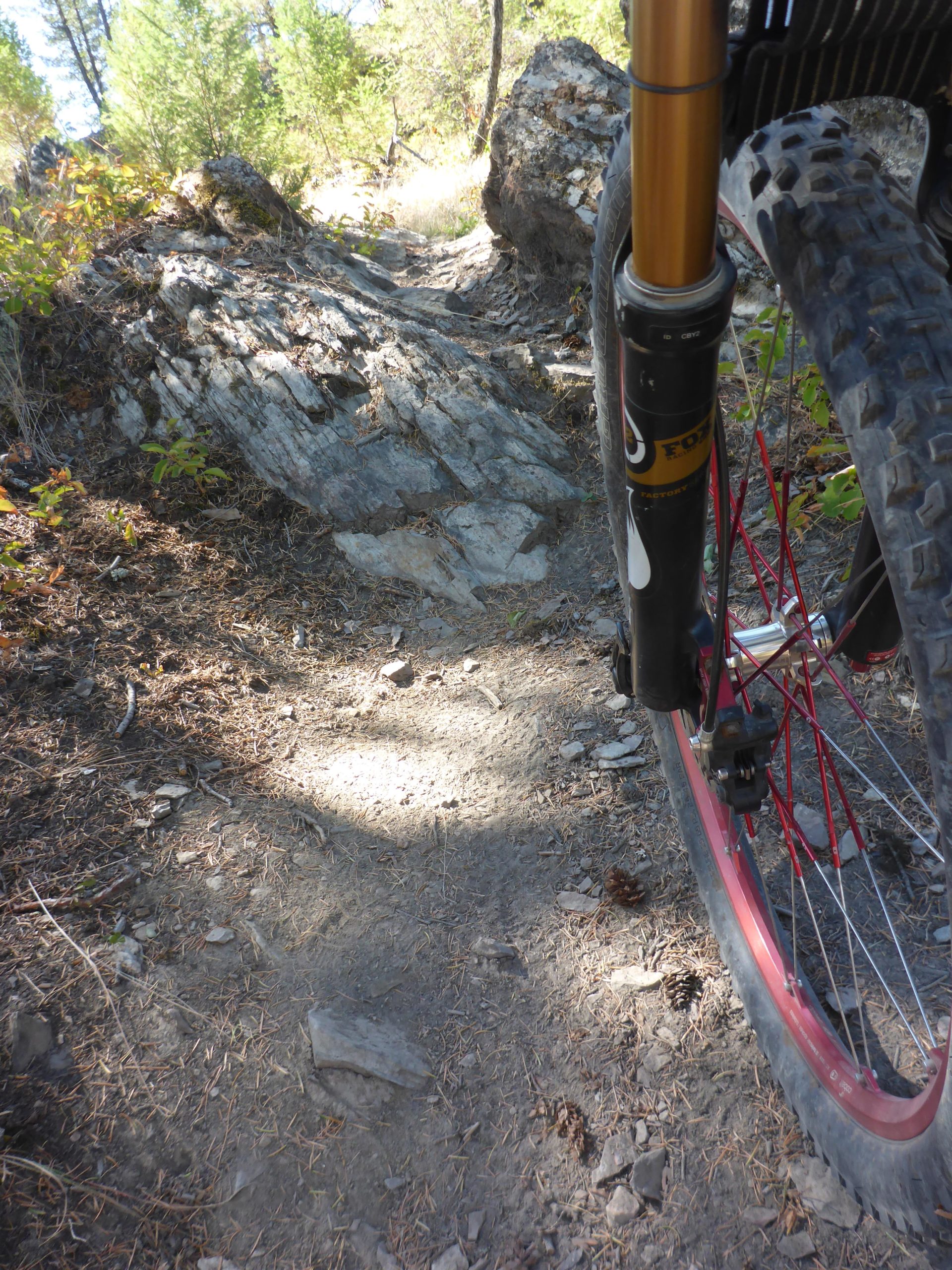 Close-up view of a mountain bike tire next to a rocky trail in a forested area, with dirt, scattered pinecones, and greenery visible in the background. Cranbrook Community Forest - South mountain bike trail.