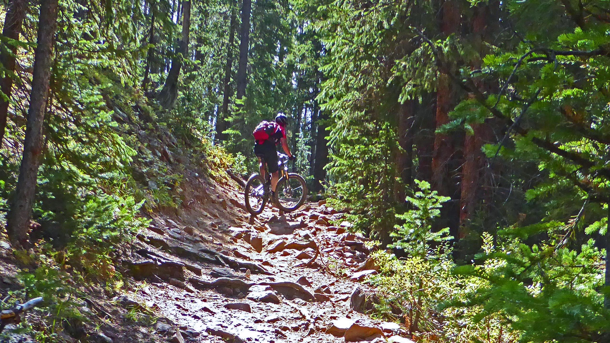A mountain biker navigating a rocky trail surrounded by dense green forest under bright sunlight. Peaks Trail mountain bike trail.