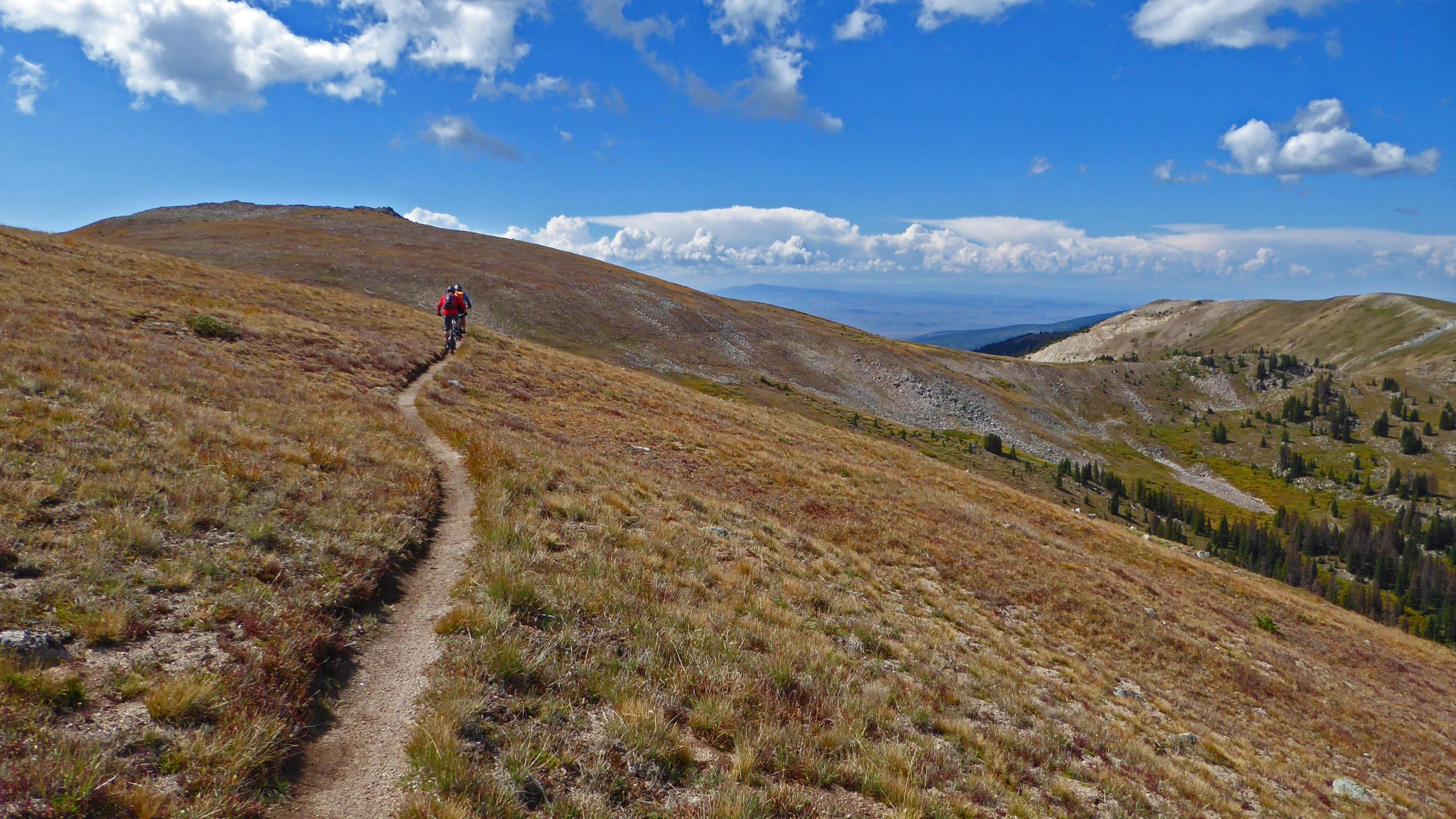 A mountain biker rides along a winding dirt trail through a grassy landscape with rolling hills under a blue sky dotted with white clouds. The scene captures the beauty of outdoor adventure in a natural setting. Canyon Creek Trail mountain bike trail.