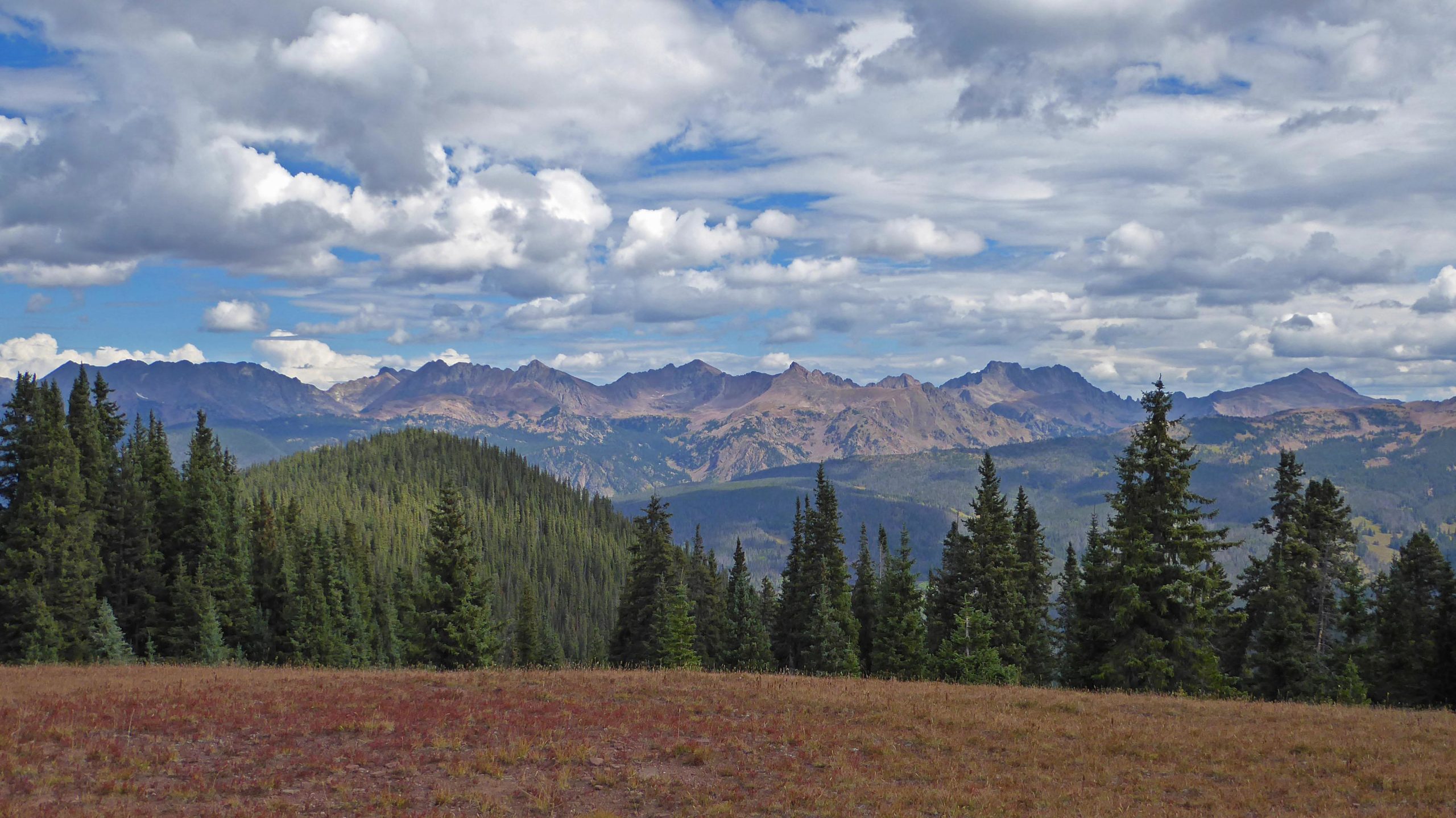 A panoramic view of rugged mountain peaks under a partly cloudy sky, with a foreground of tall evergreen trees and a meadow featuring grass that is transitioning to autumn colors. Two Elk via Vail Pass mountain bike trail.