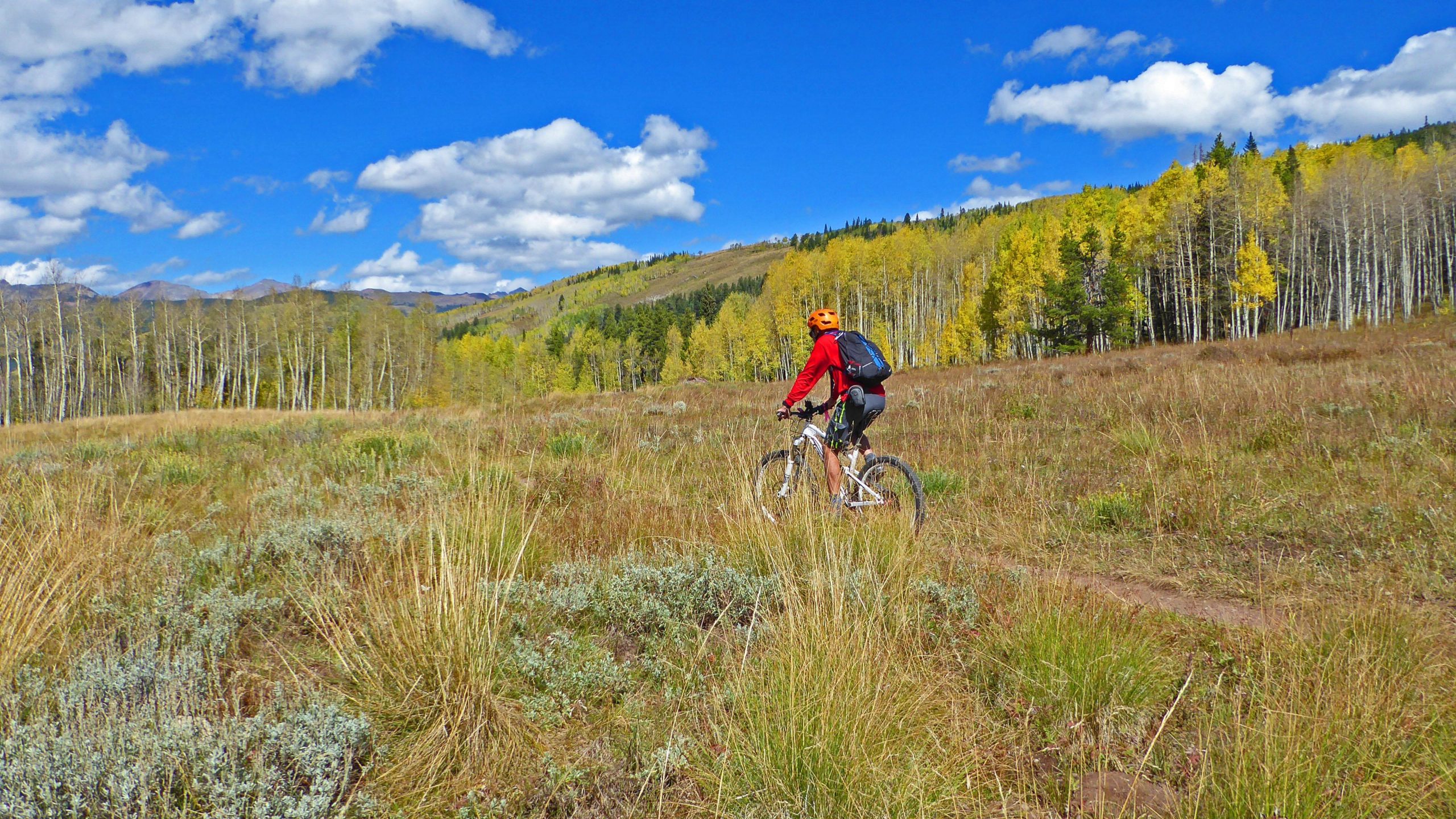 A mountain biker wearing an orange helmet and a red jacket rides through a grassy area with vibrant green and yellow foliage in the background, under a blue sky dotted with fluffy white clouds. Strand Hill mountain bike trail.