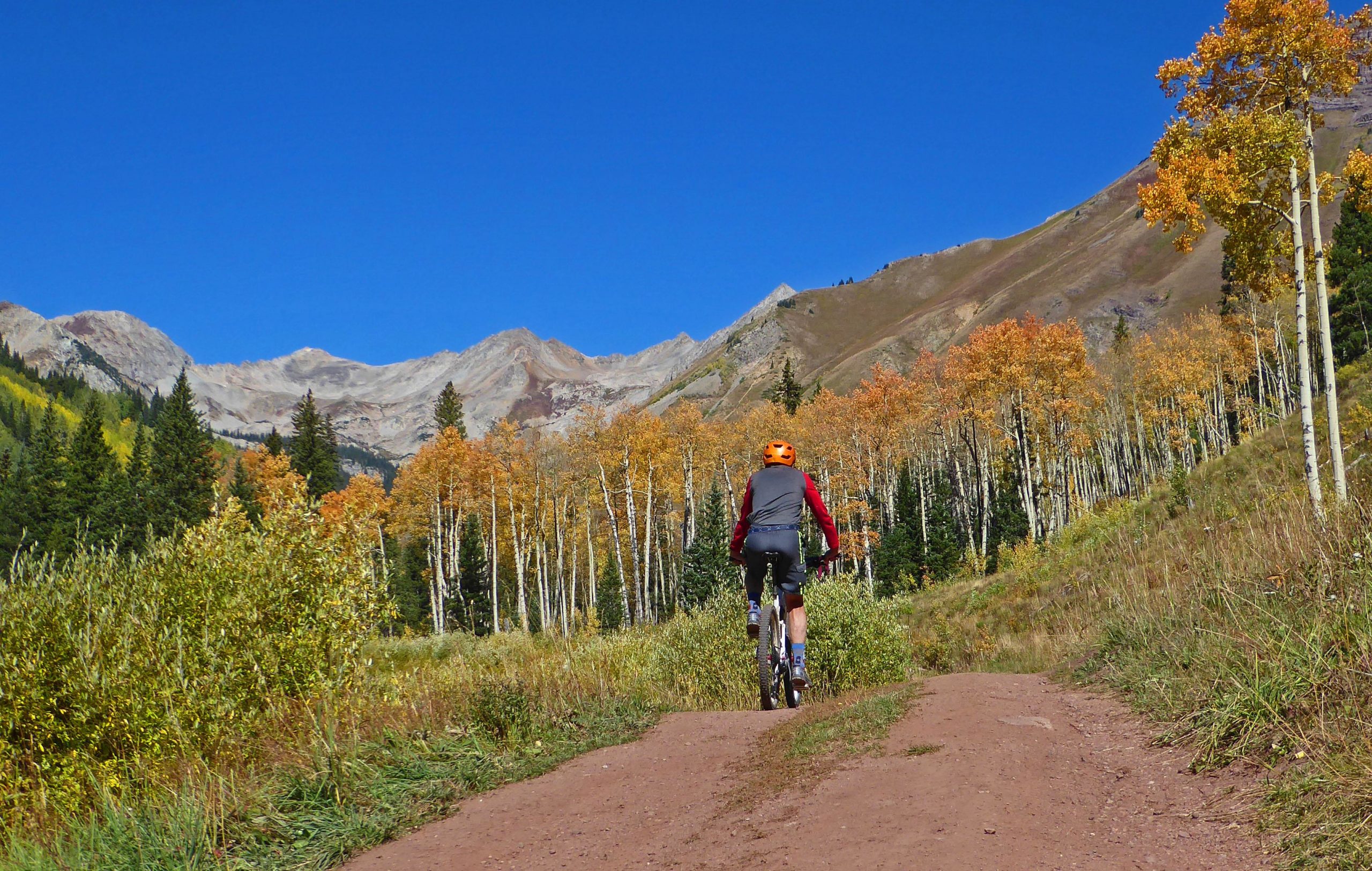 A person riding a mountain bike down a dirt trail surrounded by vibrant autumn foliage and tall trees, with majestic mountains in the background under a clear blue sky. Teocalli Ridge mountain bike trail.