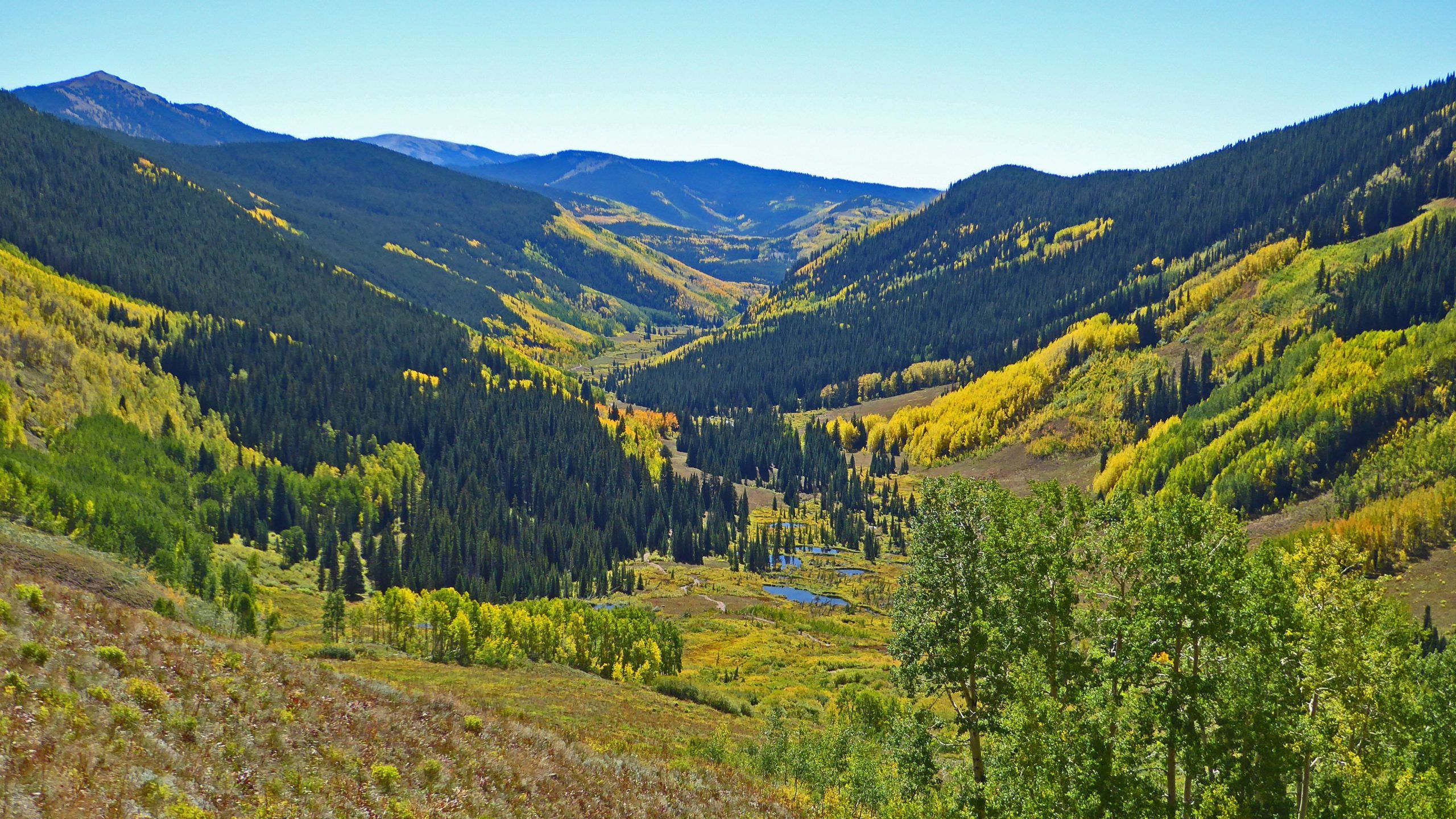 A panoramic view of a lush valley surrounded by mountains, featuring vibrant autumn foliage in shades of yellow and green. Dense evergreen trees populate the landscape, contrasting with the bright colors of the surrounding deciduous trees. The scene is set under a clear blue sky, with gentle slopes leading down to a small body of water. Teocalli Ridge mountain bike trail.