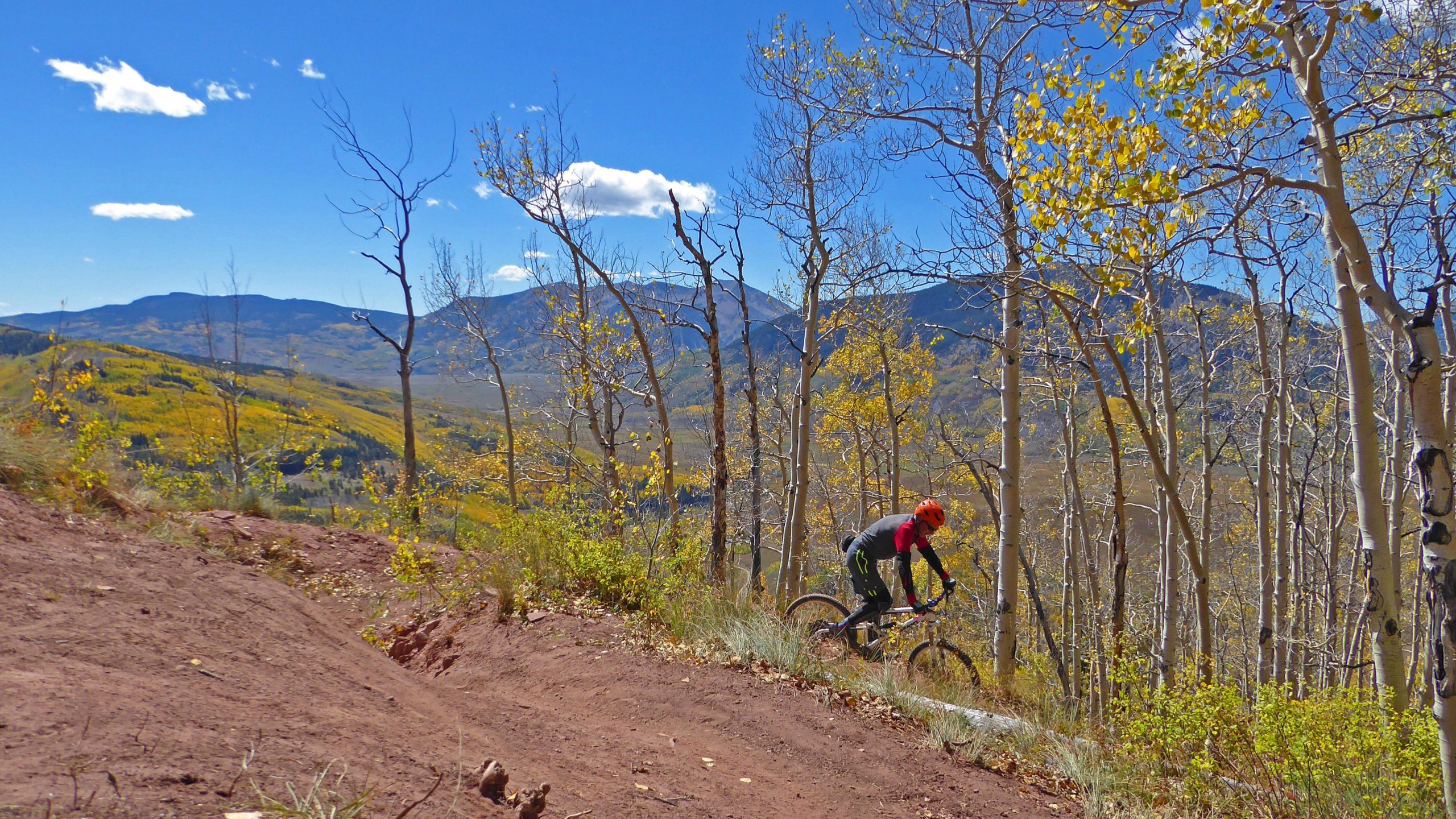 A mountain biker rides along a dirt trail surrounded by trees with yellow autumn leaves, with mountains and a clear blue sky in the background. Teocalli Ridge mountain bike trail.