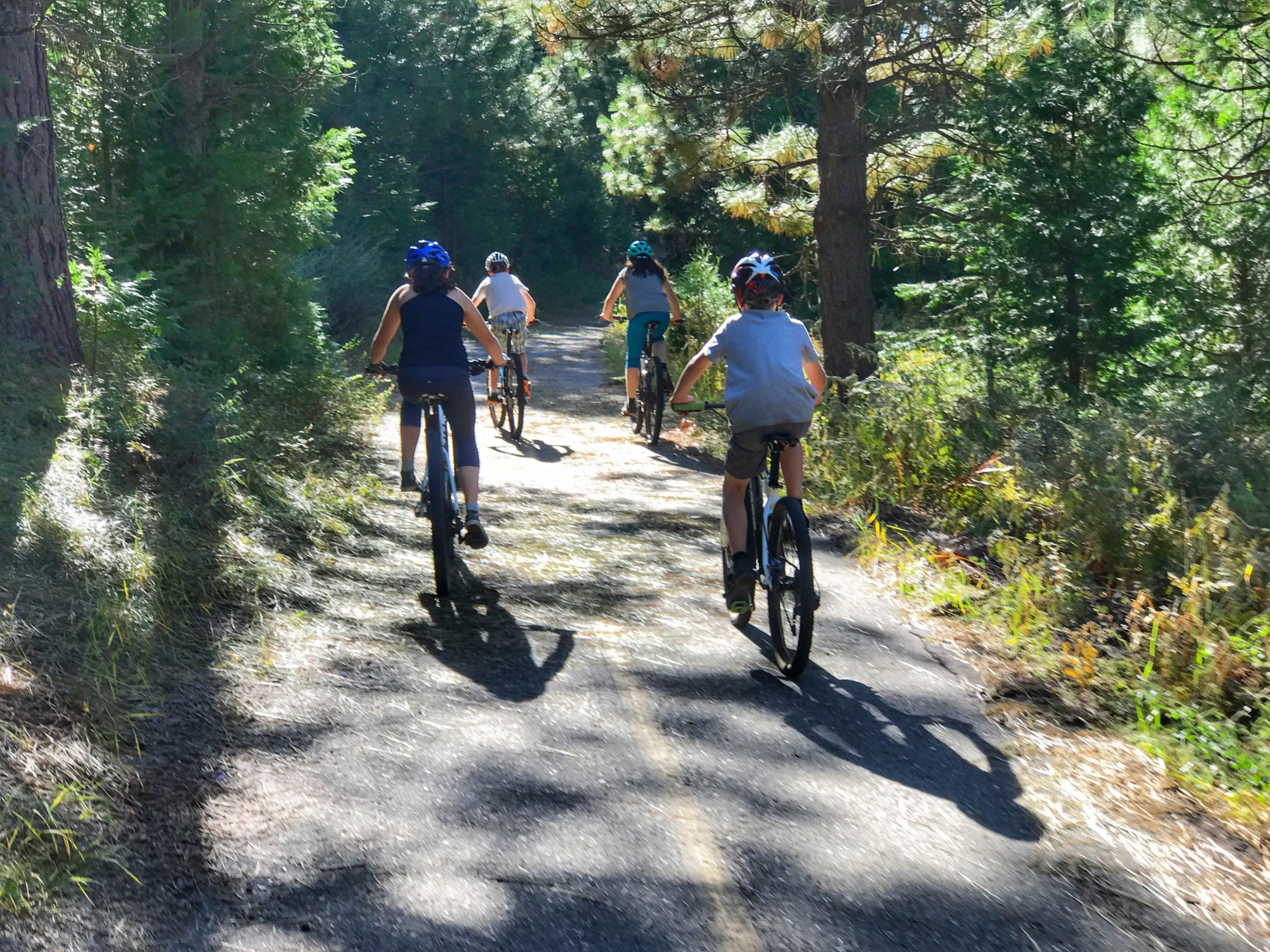 A group of children riding bicycles along a tree-lined path in a sunny, forested area. Union Valley Reservoir mountain bike trail.