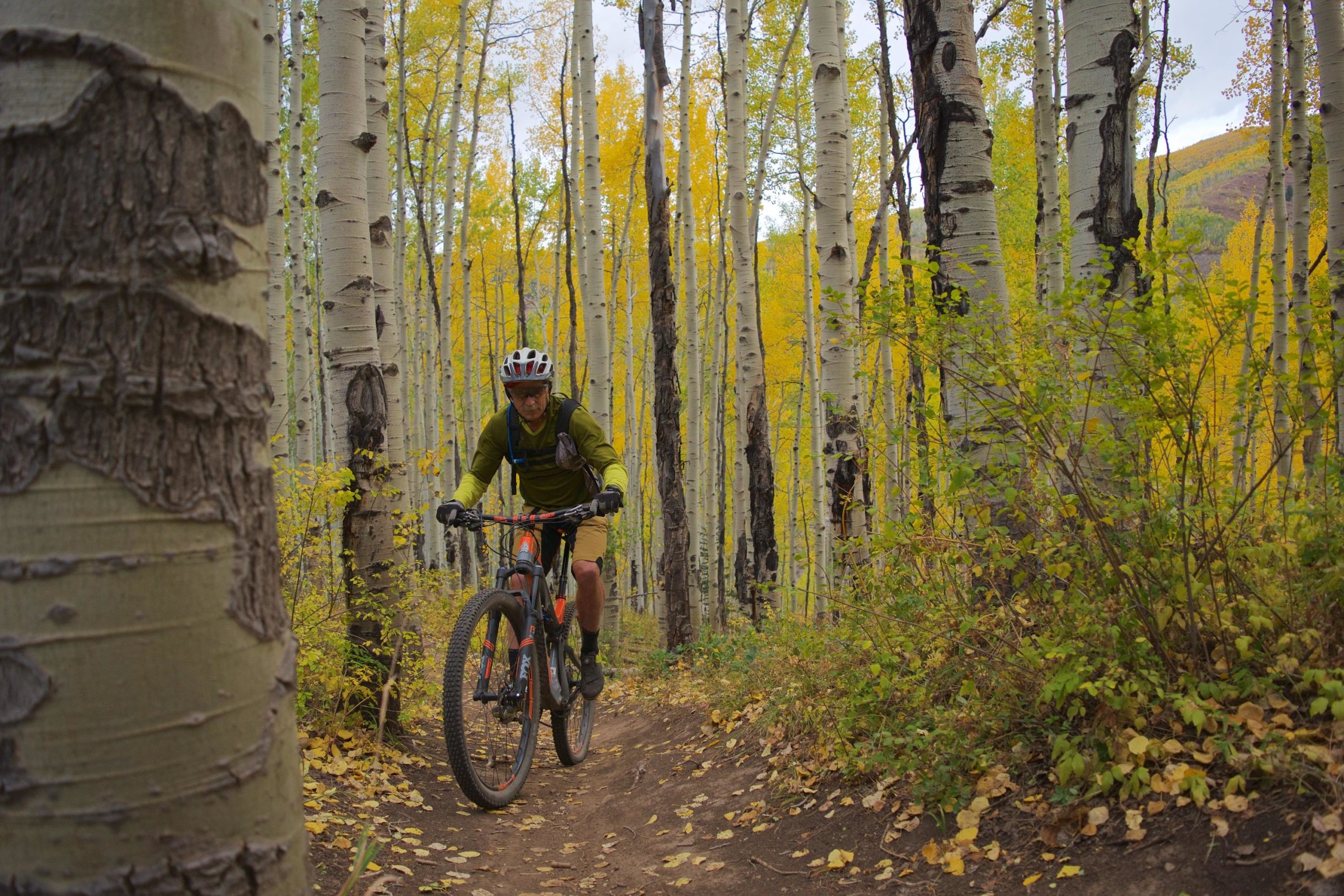 A mountain biker riding on a dirt trail through a grove of aspen trees, showcasing vibrant autumn foliage with yellow leaves. The scene highlights the peacefulness of nature and the thrill of outdoor adventure. Vail Mountain Bike Park mountain bike trail.