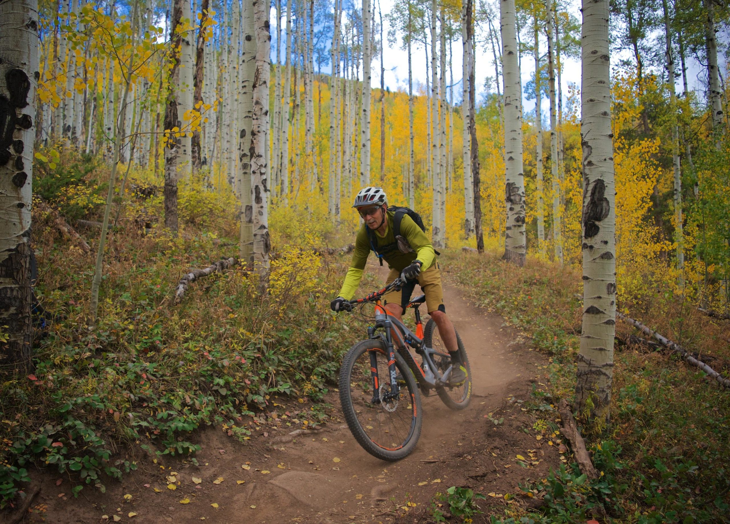 A mountain biker riding on a dirt trail through a forest of tall, slender aspen trees with vibrant yellow leaves. The cyclist is leaning slightly to one side, kicking up dust as they navigate the path. The landscape showcases a mix of green underbrush and autumn foliage, creating a picturesque outdoor scene. Vail Mountain Bike Park mountain bike trail.