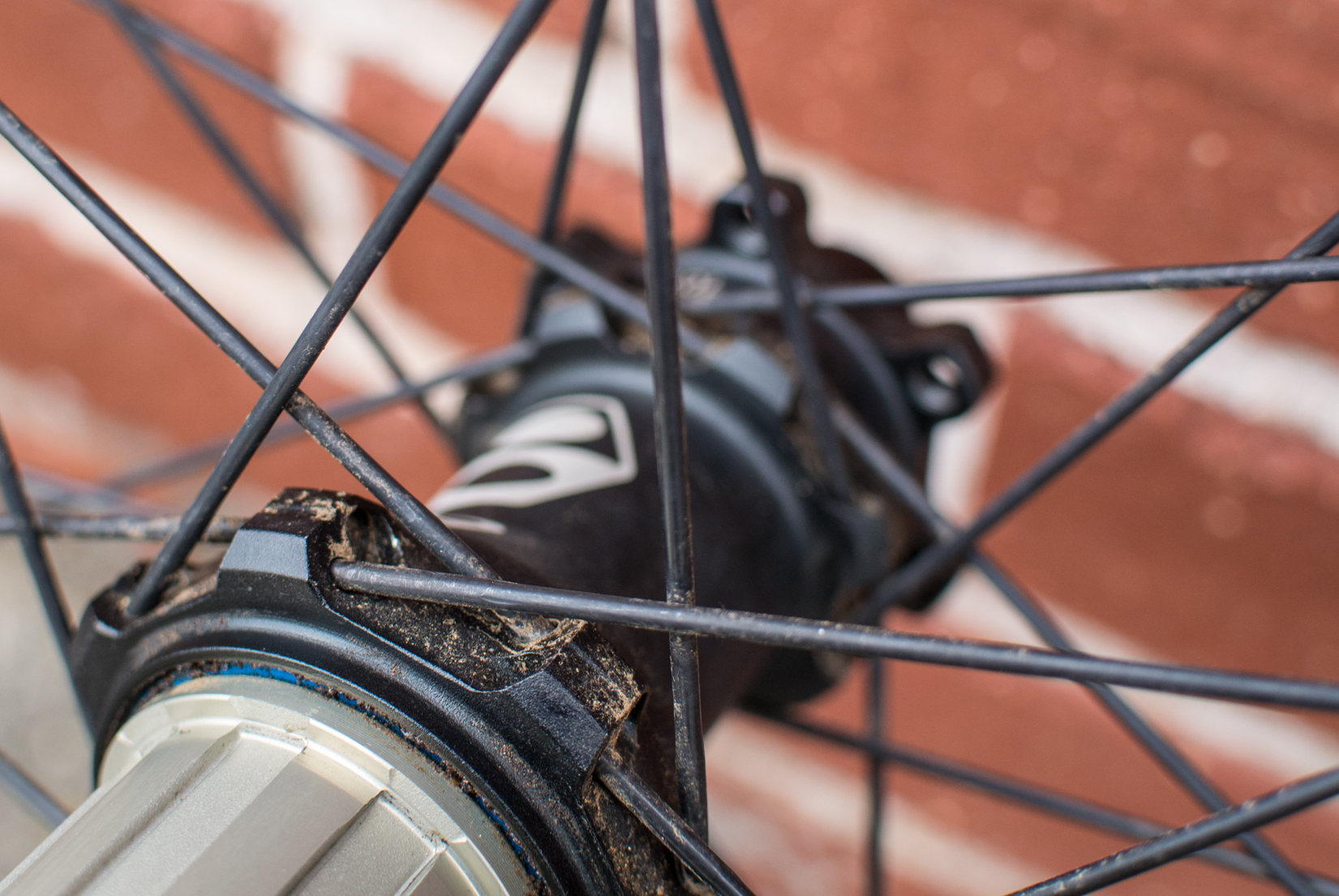box wheels10 Singletracks Mountain Bike News