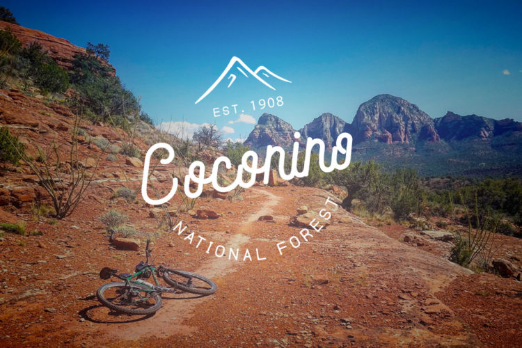 Coconino National Forest